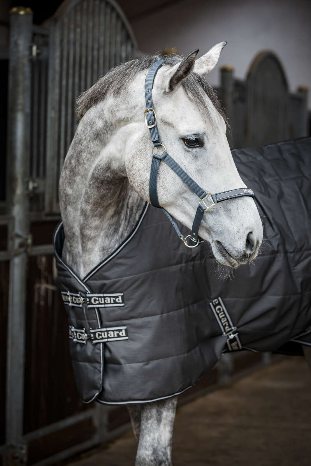 Horse Guard Sophie 600D Stalddækken 100g