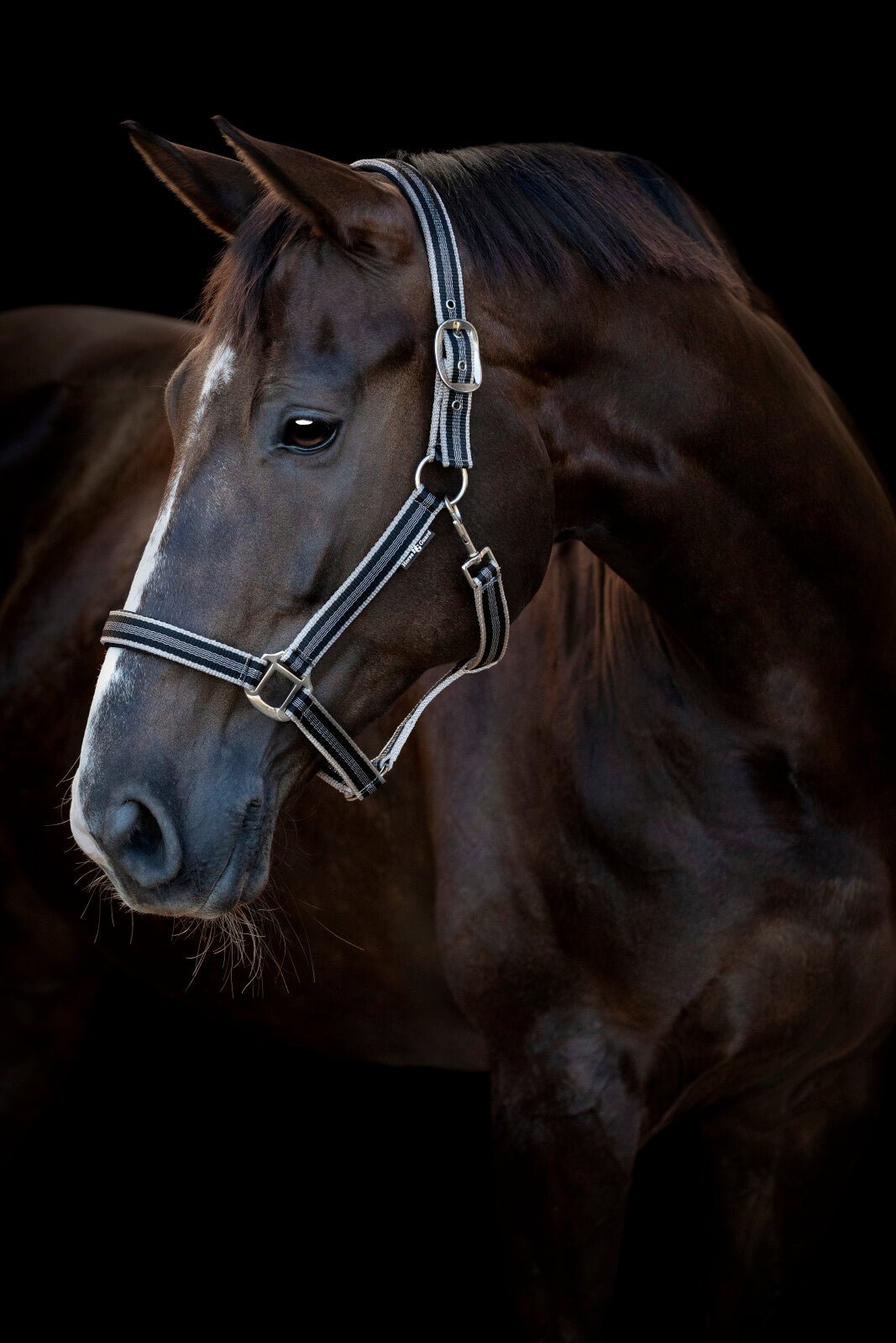 HorseGuard Taro halter - Unamari
