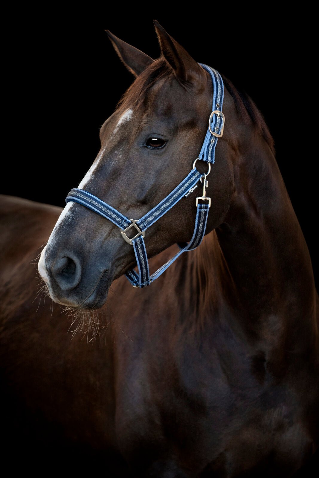 HorseGuard Taro halter - Unamari