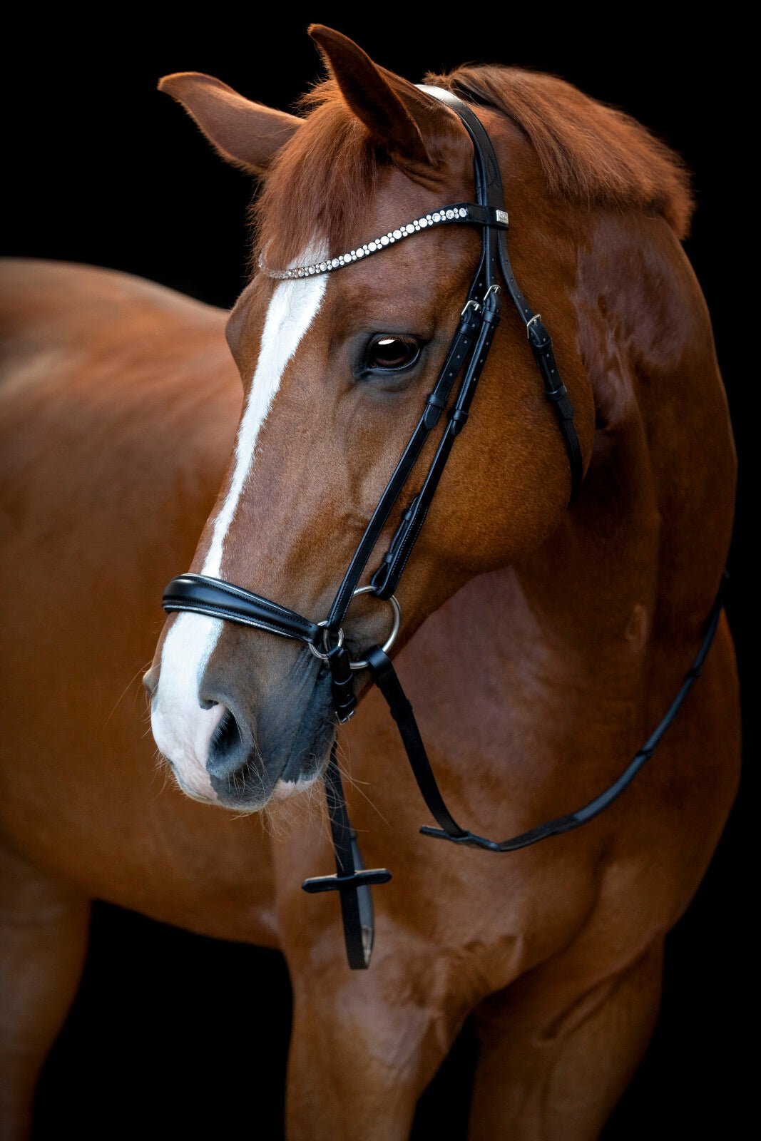HorseGuard Cryll 25.1 bridle with drop noseband - Unamari