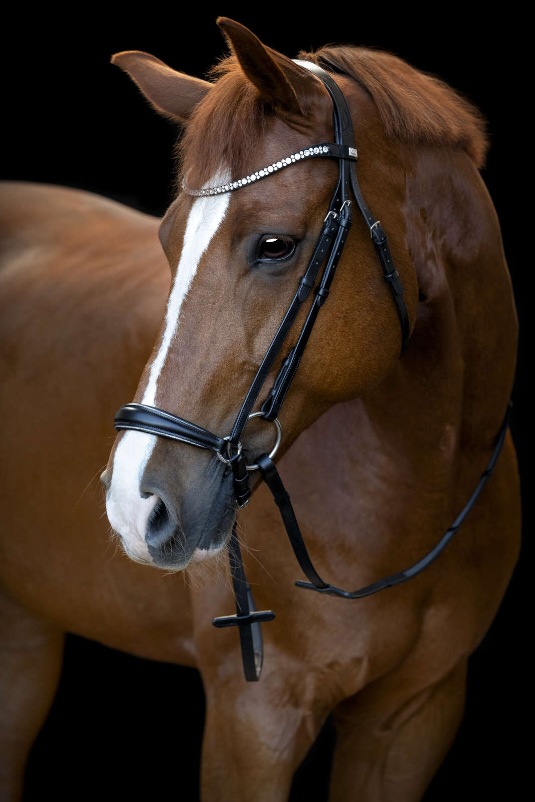 Horse Guard Cryll 25.1 bridle with drop noseband