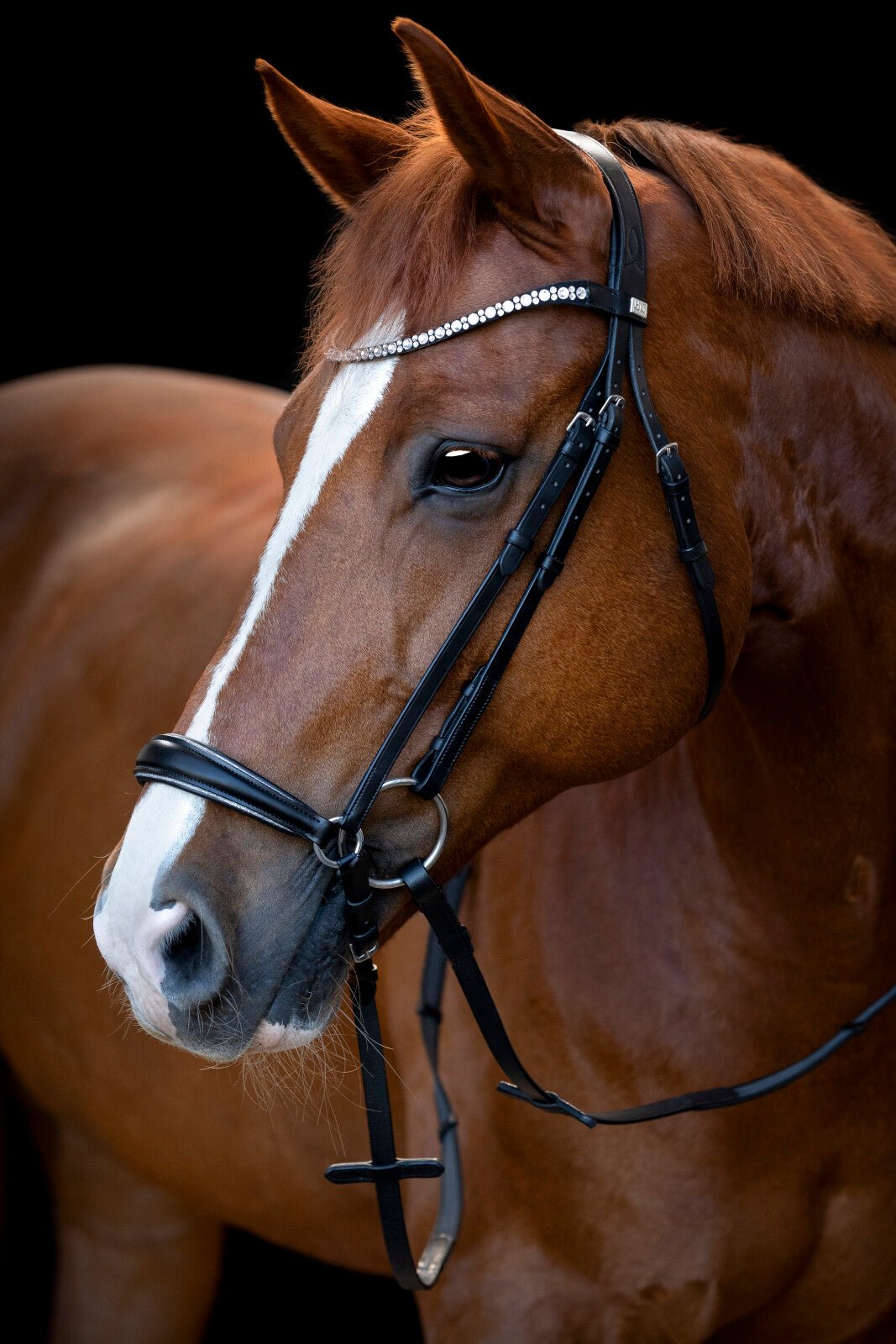 HorseGuard Cryll 25.1 bridle with drop noseband - Unamari