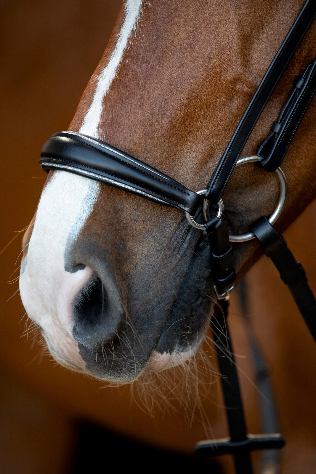 HorseGuard Cryll 25.1 bridle with drop noseband - Unamari