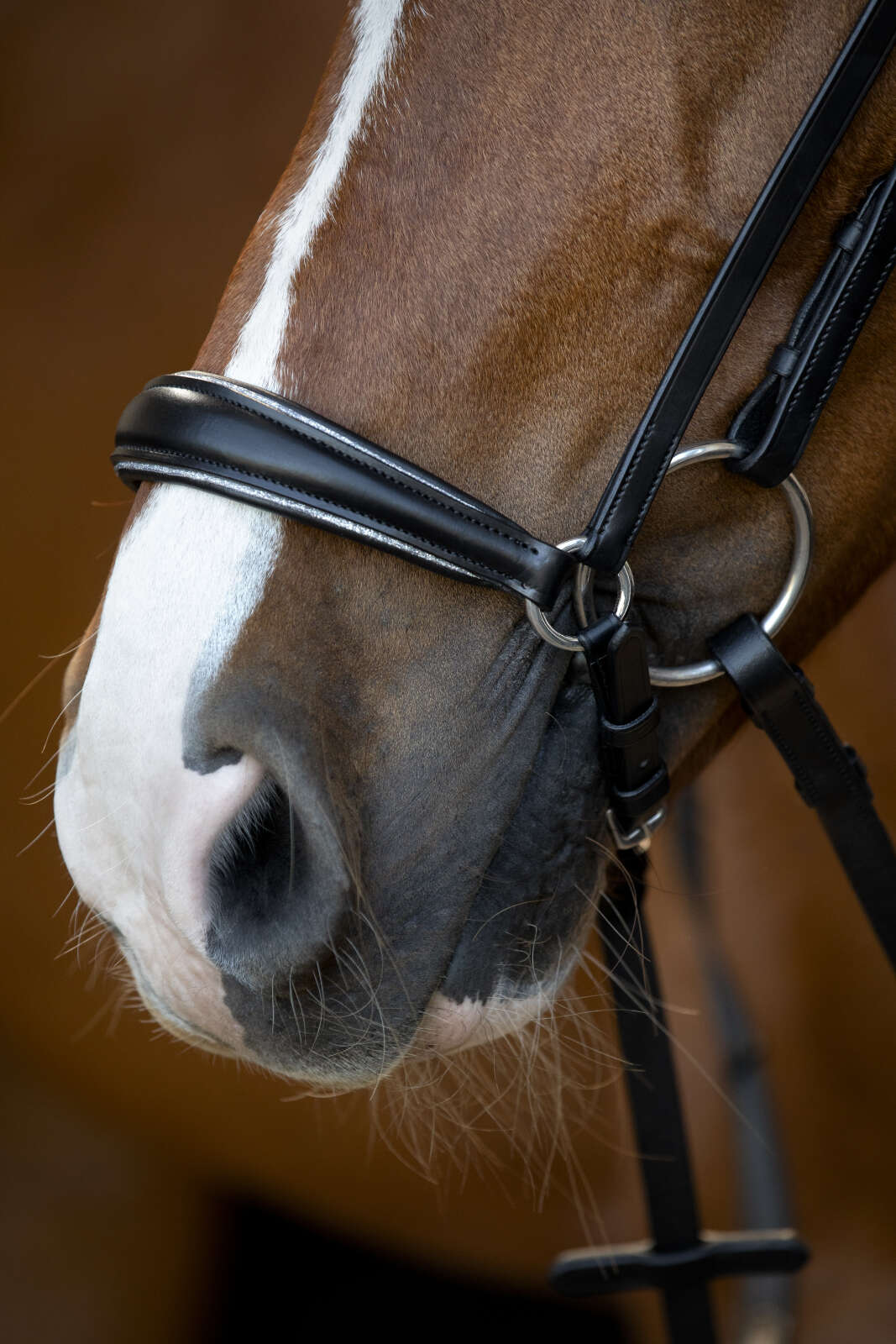 Horse Guard Cryll 25.1 bridle with drop noseband