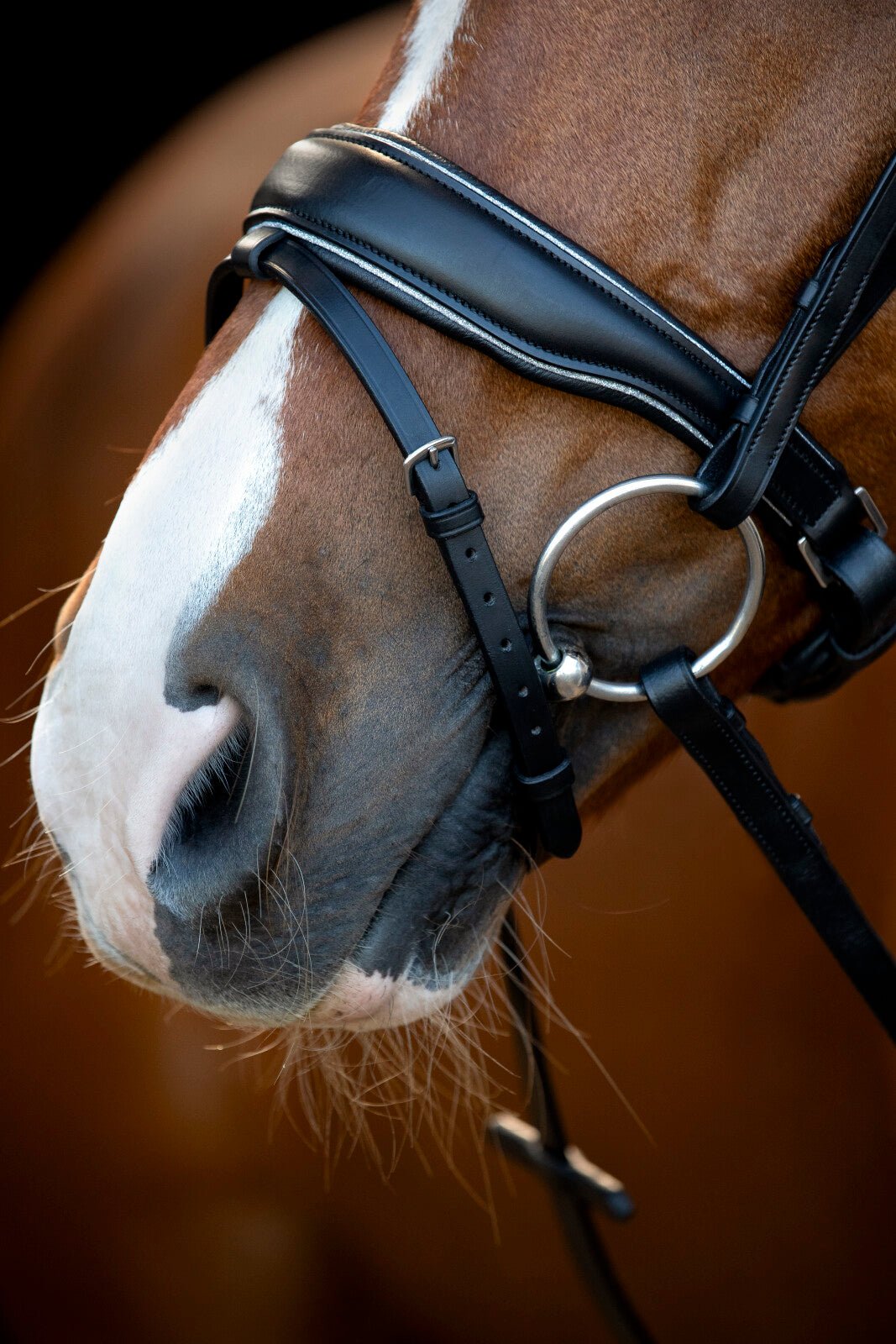 HorseGuard Cryll 25.1 bridle with pull - back and flash - Unamari