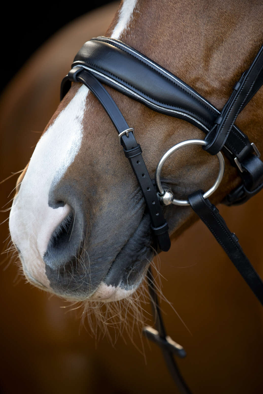 HorseGuard Cryll 25.1 bridle with pull-back and flash