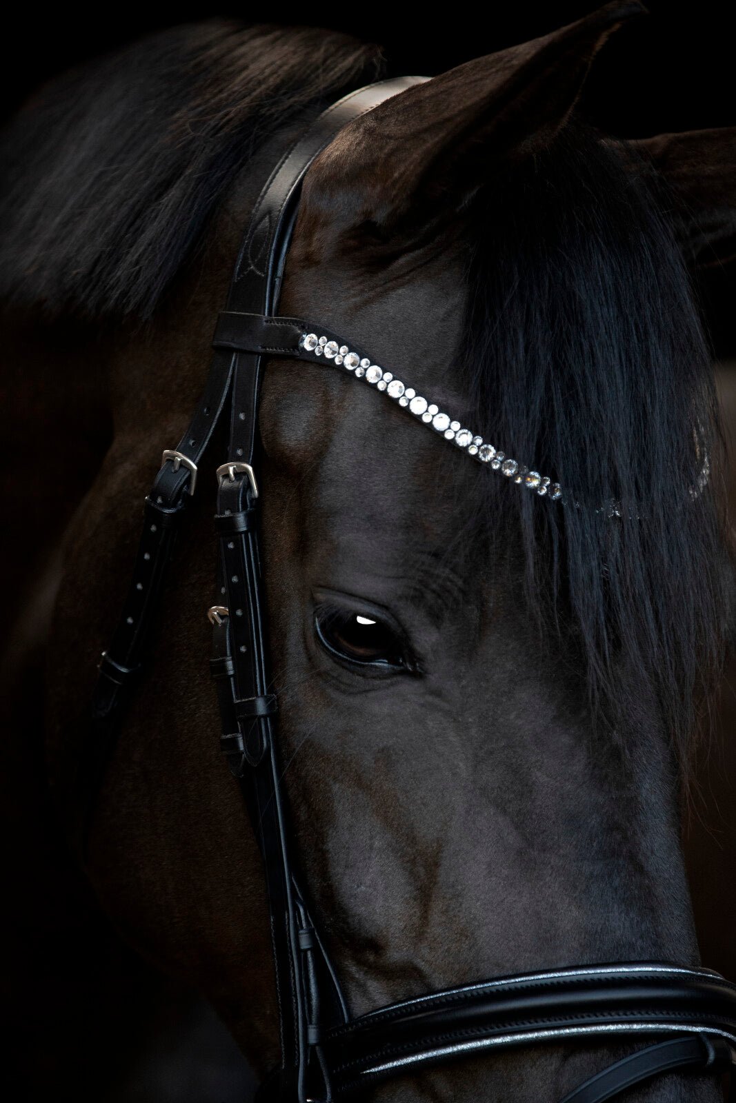 HorseGuard Emi 25.1 bridle with combined noseband - Unamari