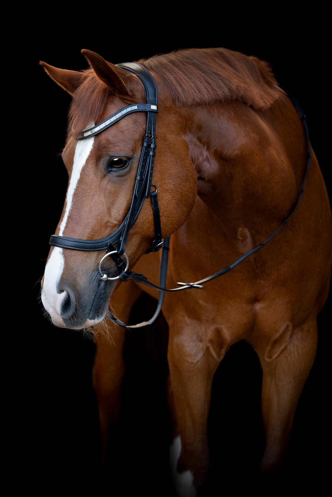 HorseGuard Tine anatomic bridle - Unamari