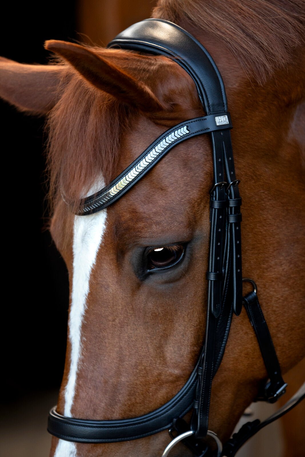HorseGuard Tine anatomic bridle - Unamari