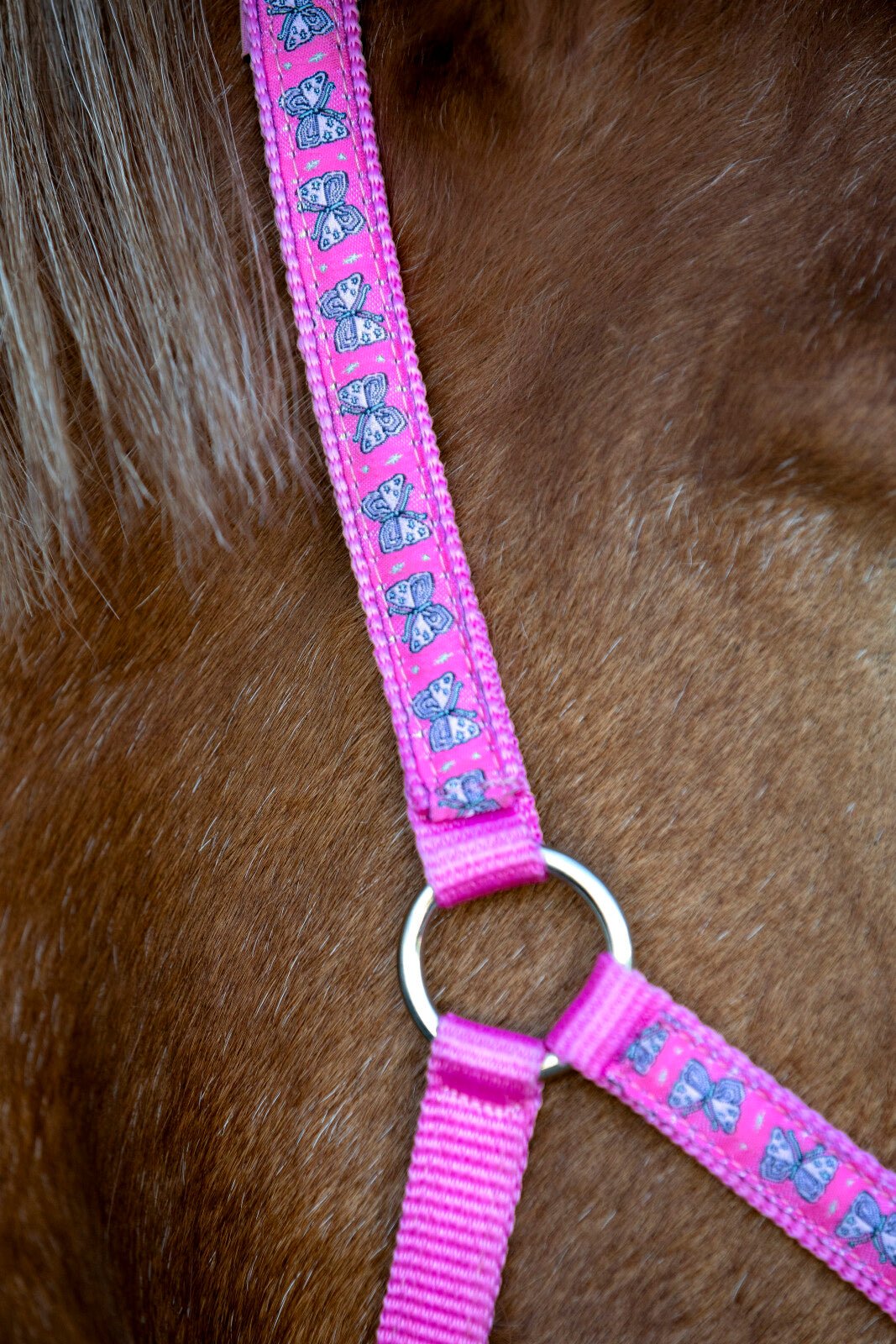 HorseGuard Butterfly halter - Unamari