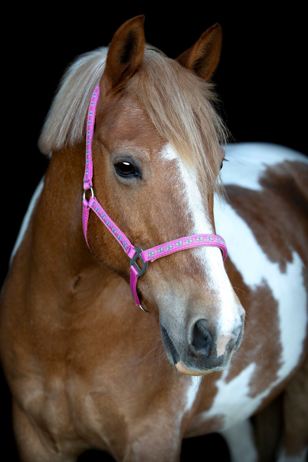HorseGuard Butterfly halter - Unamari