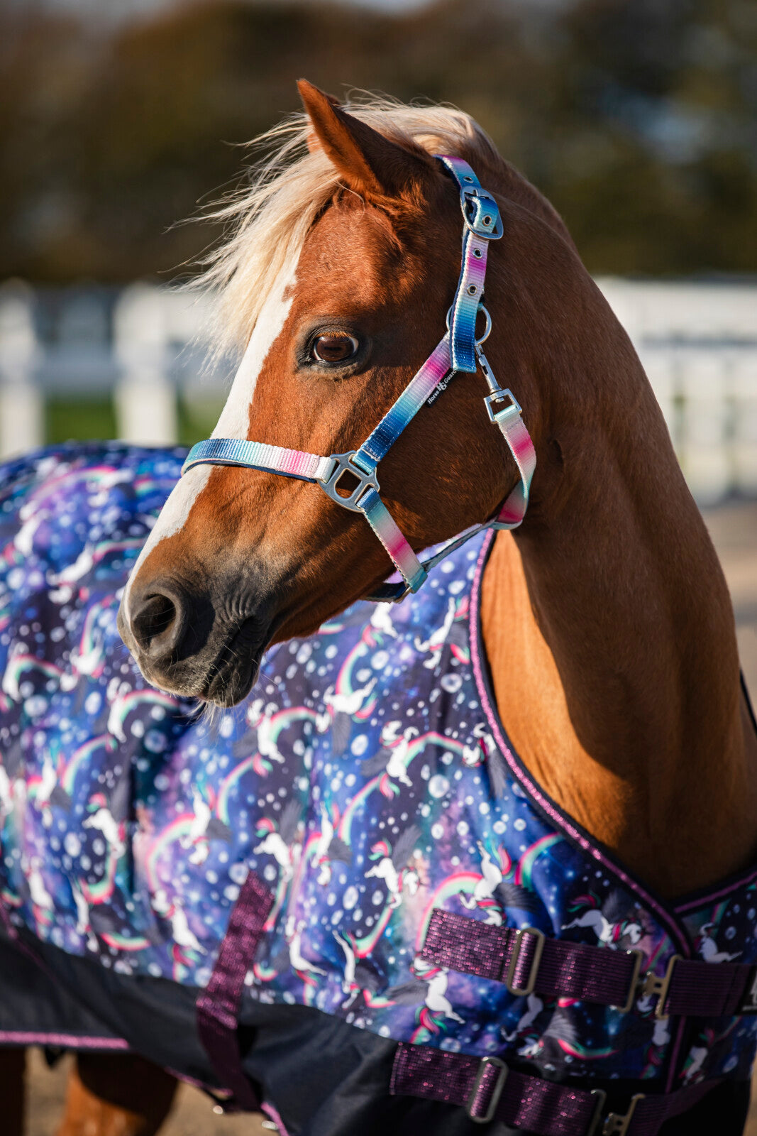 HorseGuard Gradient grimma