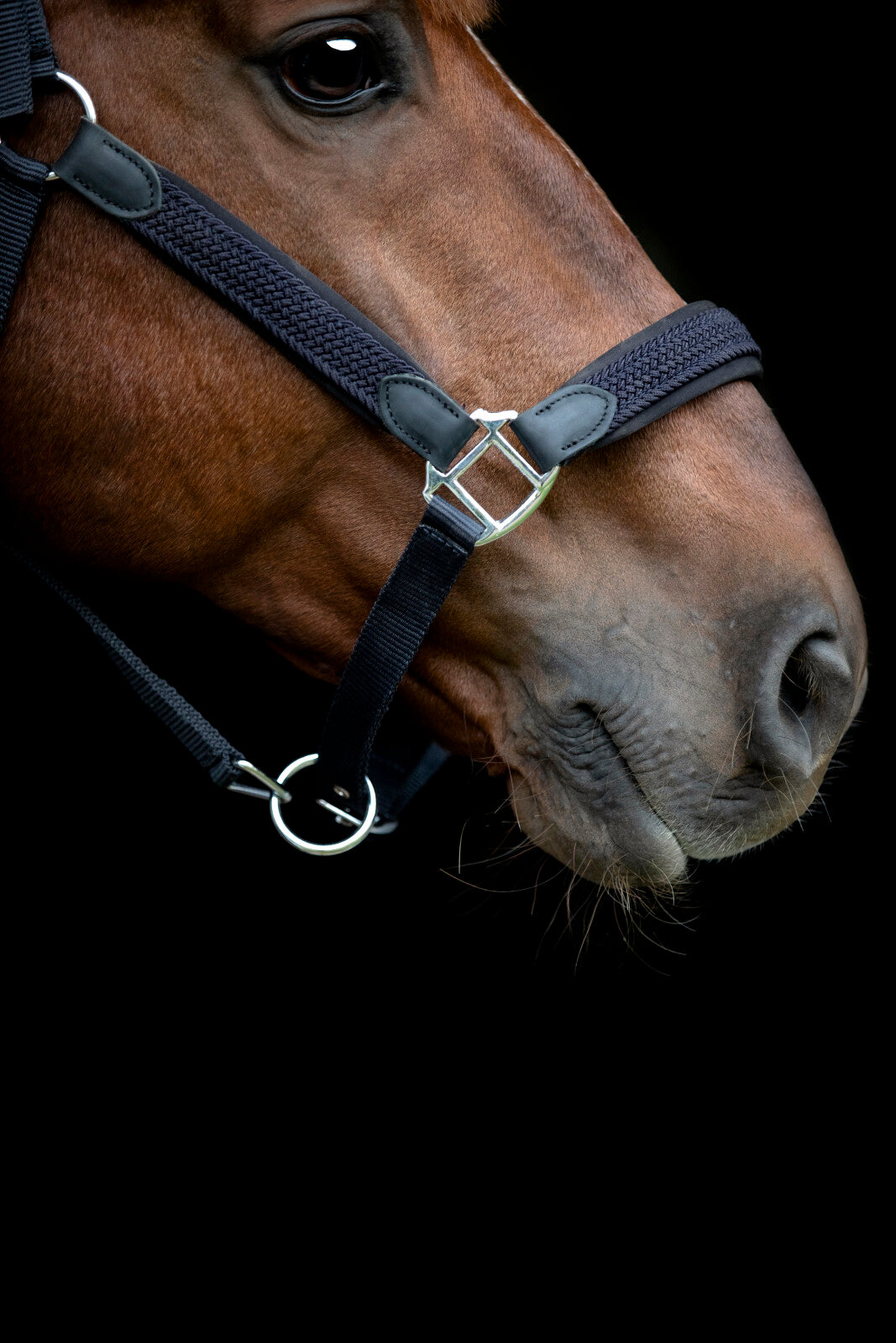 HorseGuard Vardia grimma med flätad detalj