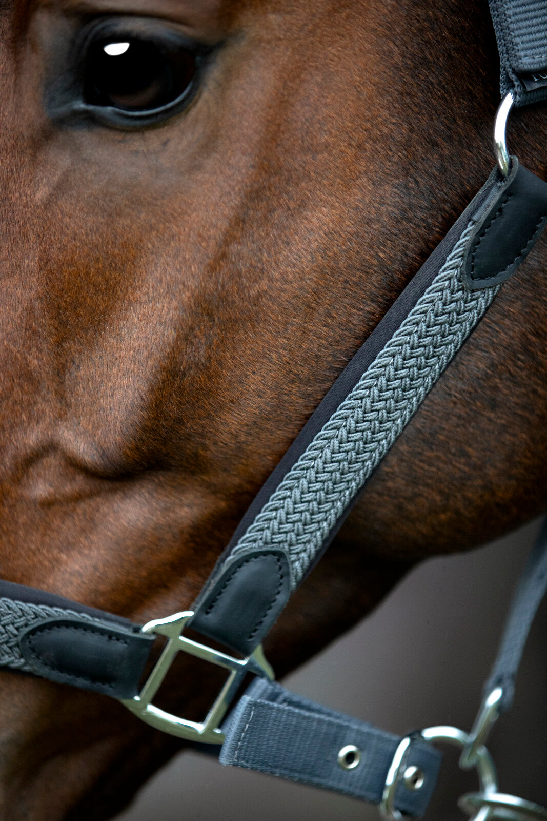 HorseGuard Vardia grimma med flätad detalj