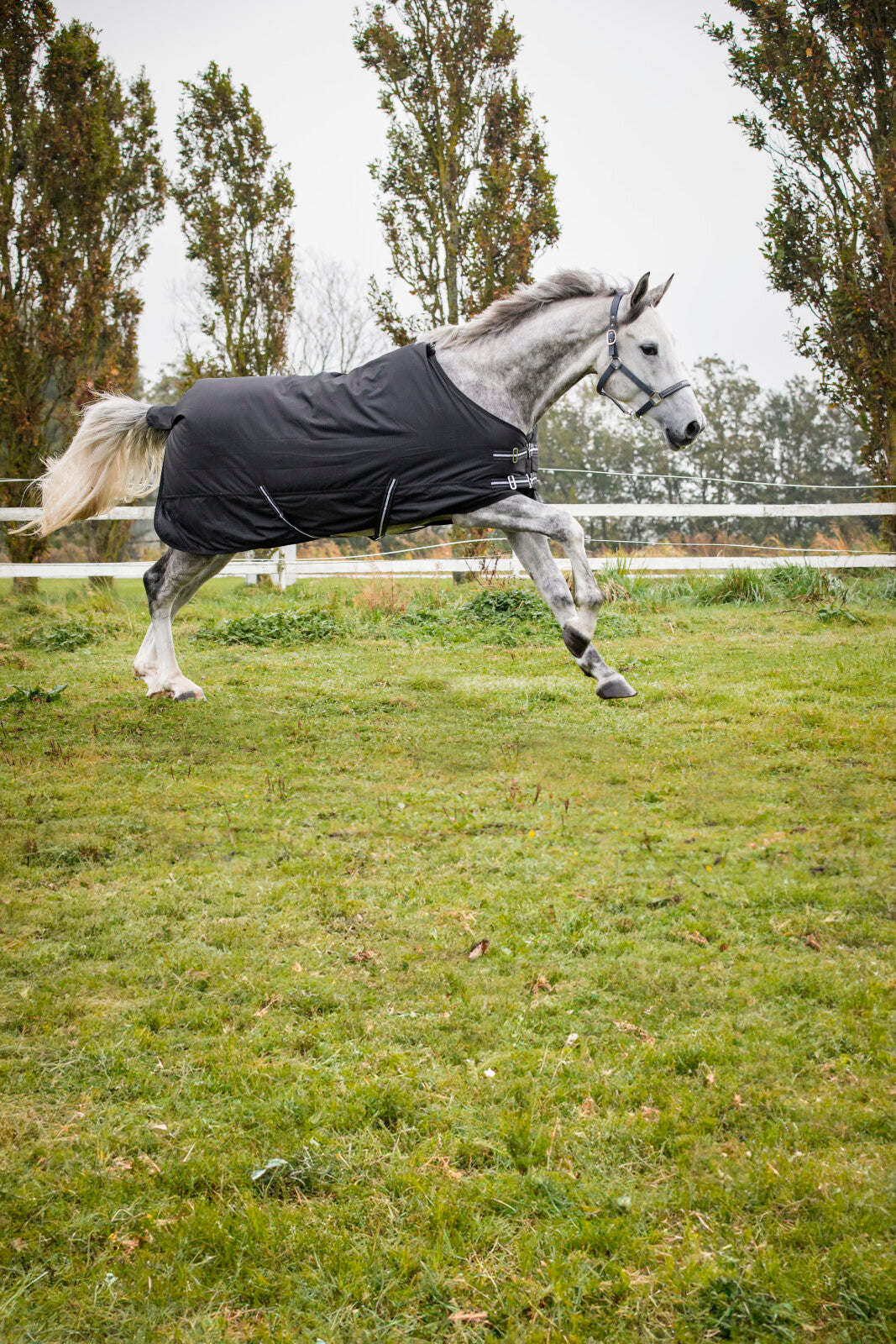 HorseGuard utetäcke 600D, 200 g