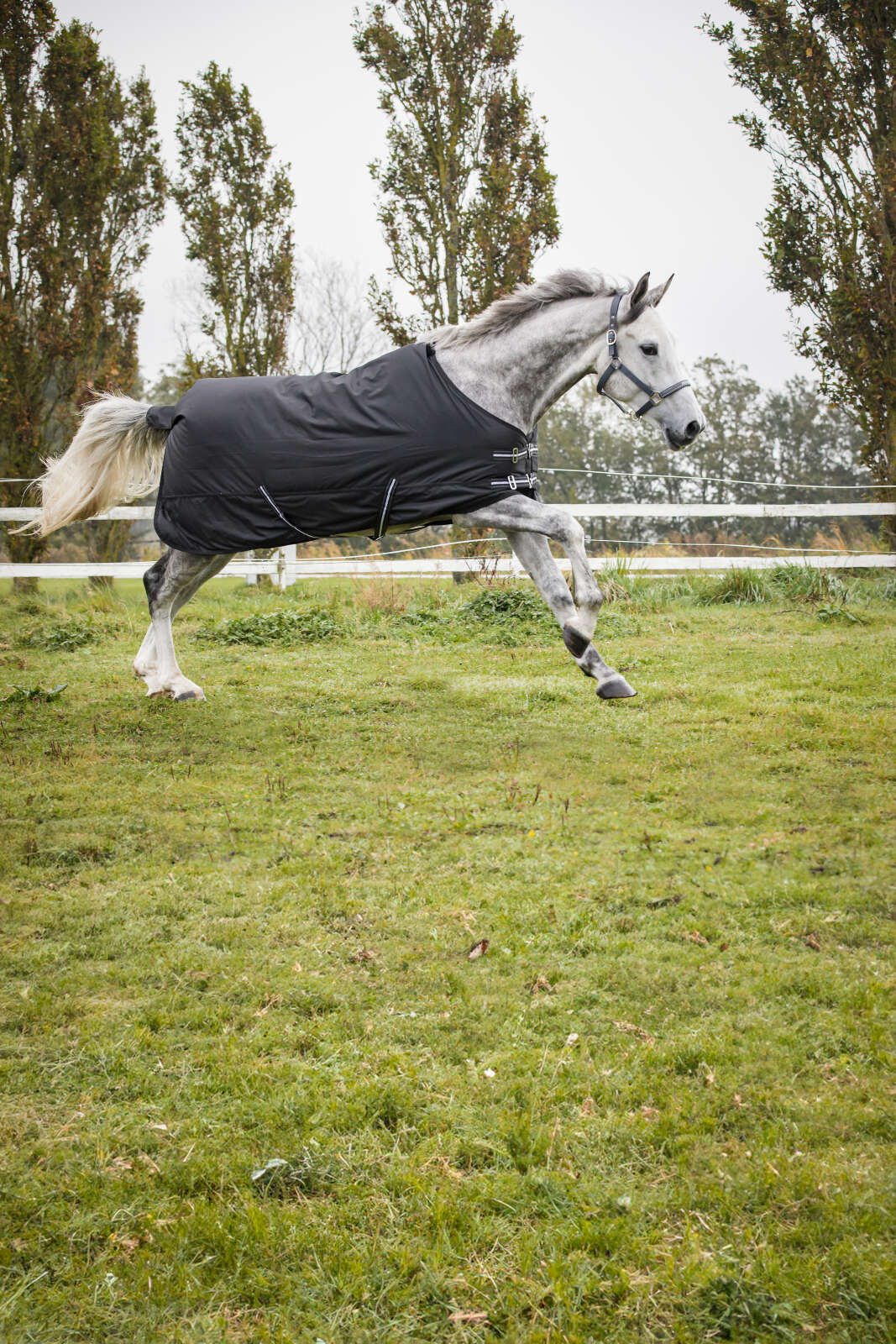 HorseGuard Winter-Outdoordecke 600D, 400g