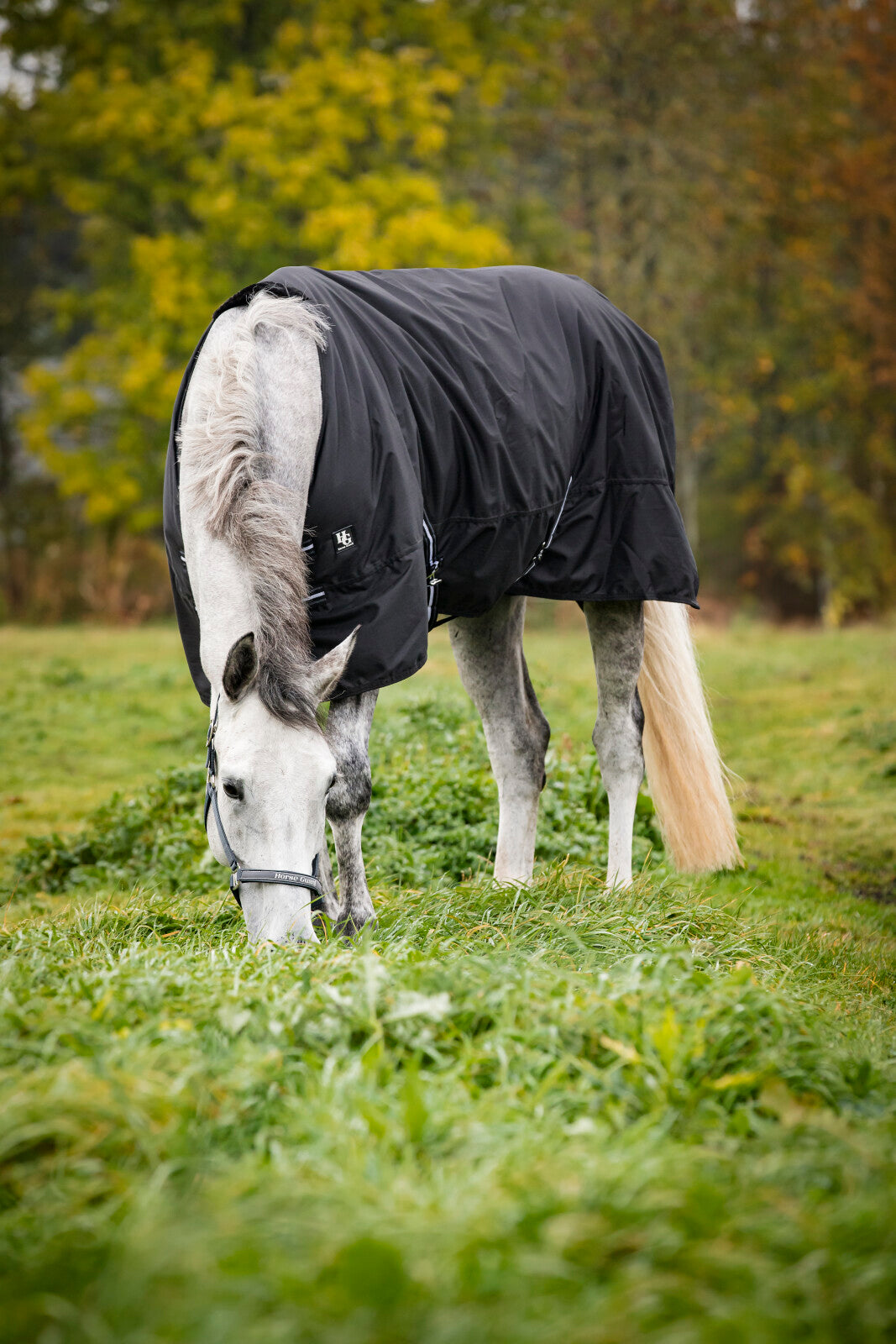HorseGuard vintertäcke 600D, 400g