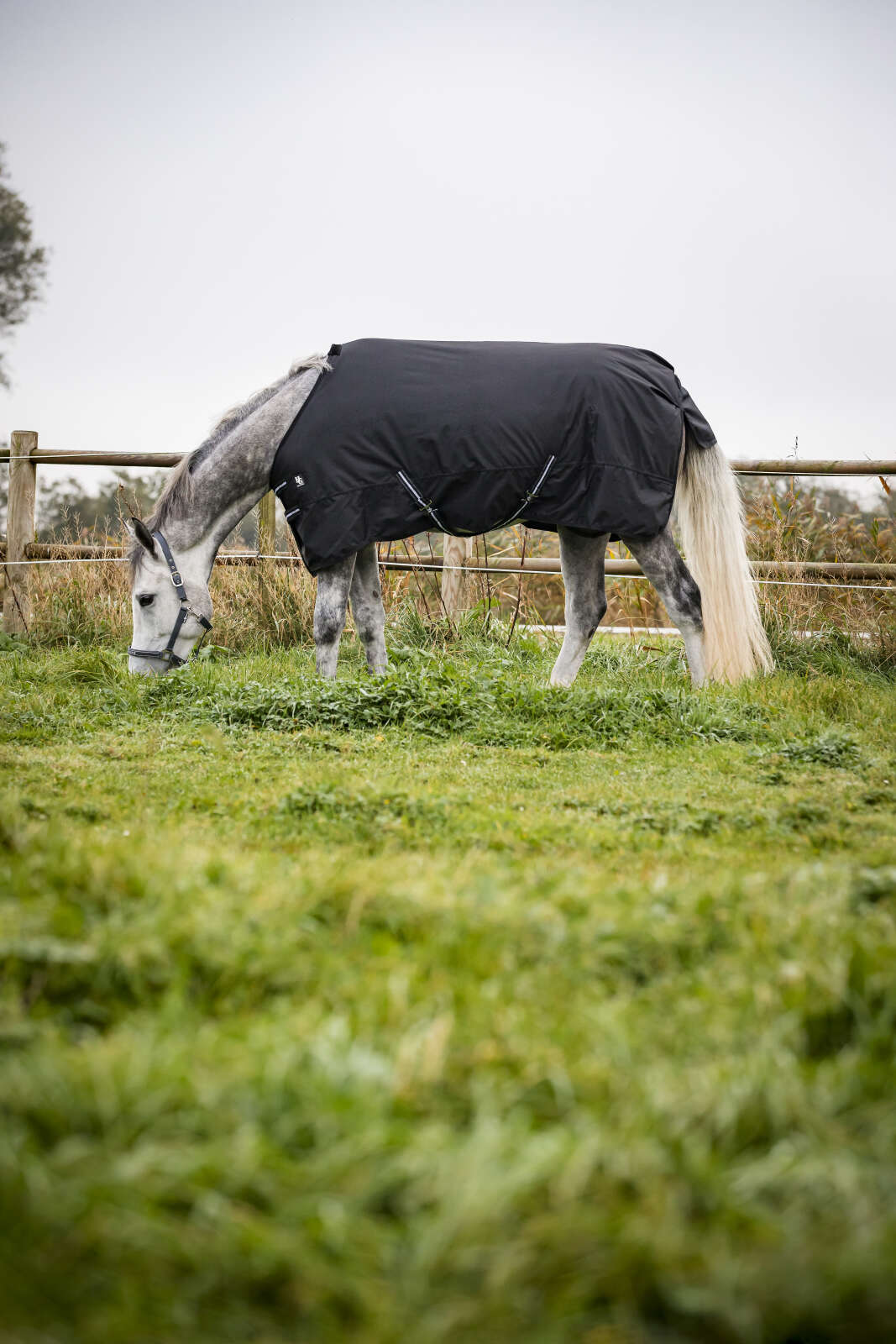 HorseGuard Outdoordecke 600D, 200 g