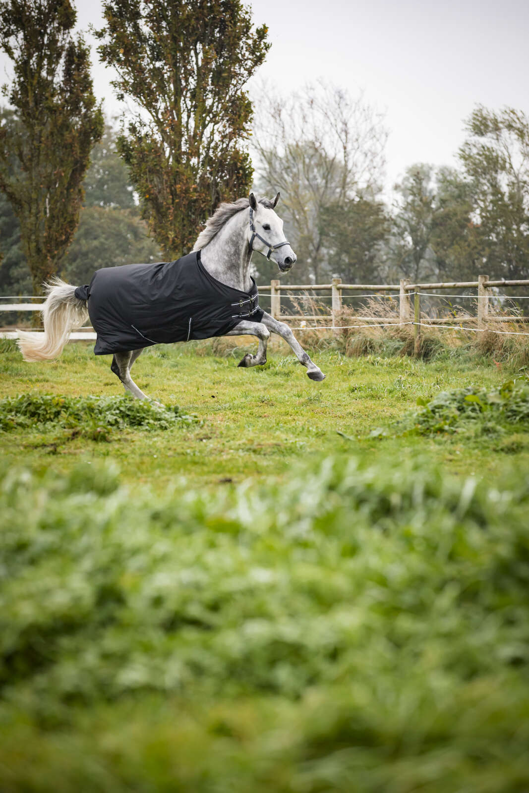 HorseGuard Outdoordecke 600D, 200 g