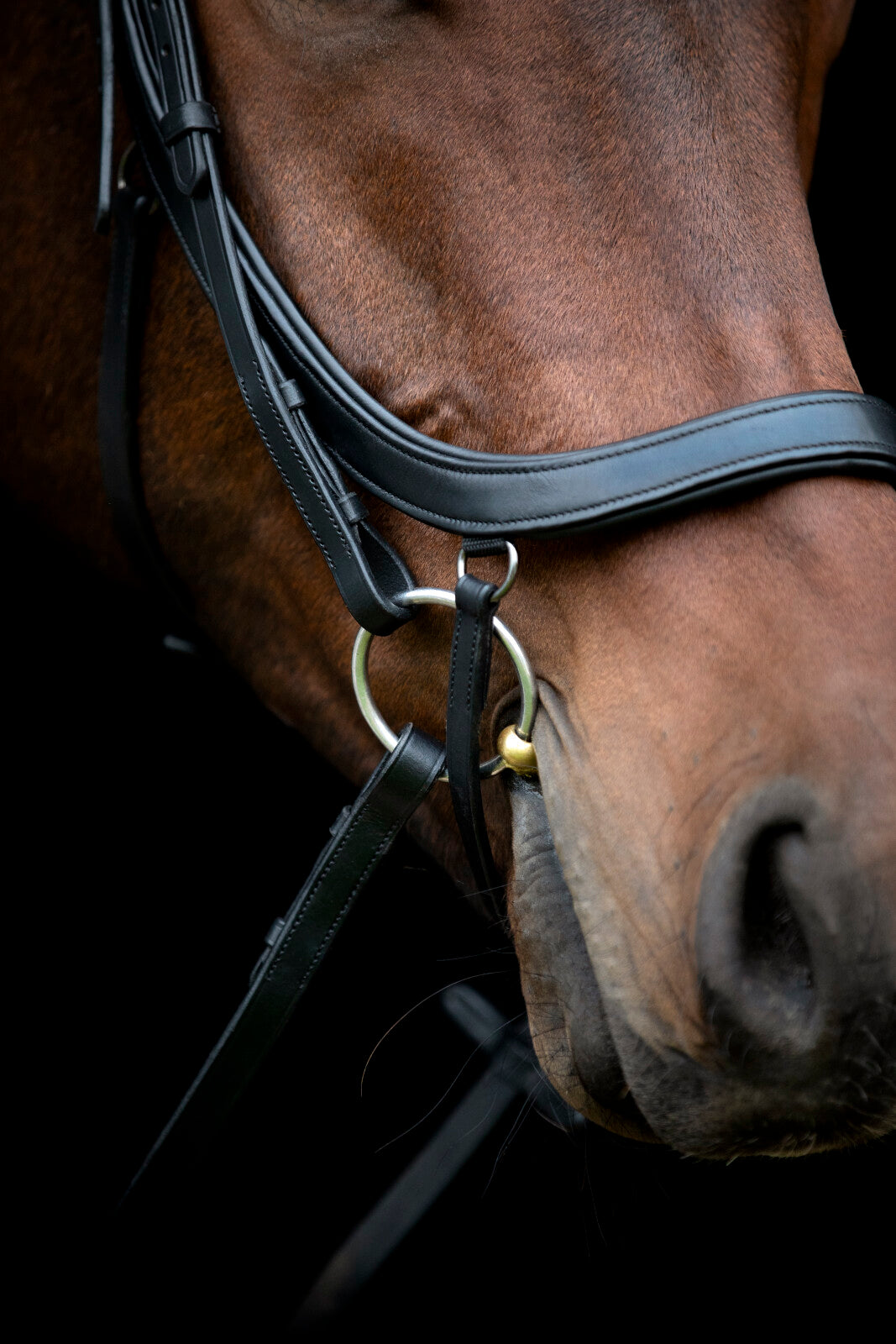 HorseGuard Vinja anatomisches Reithalfter