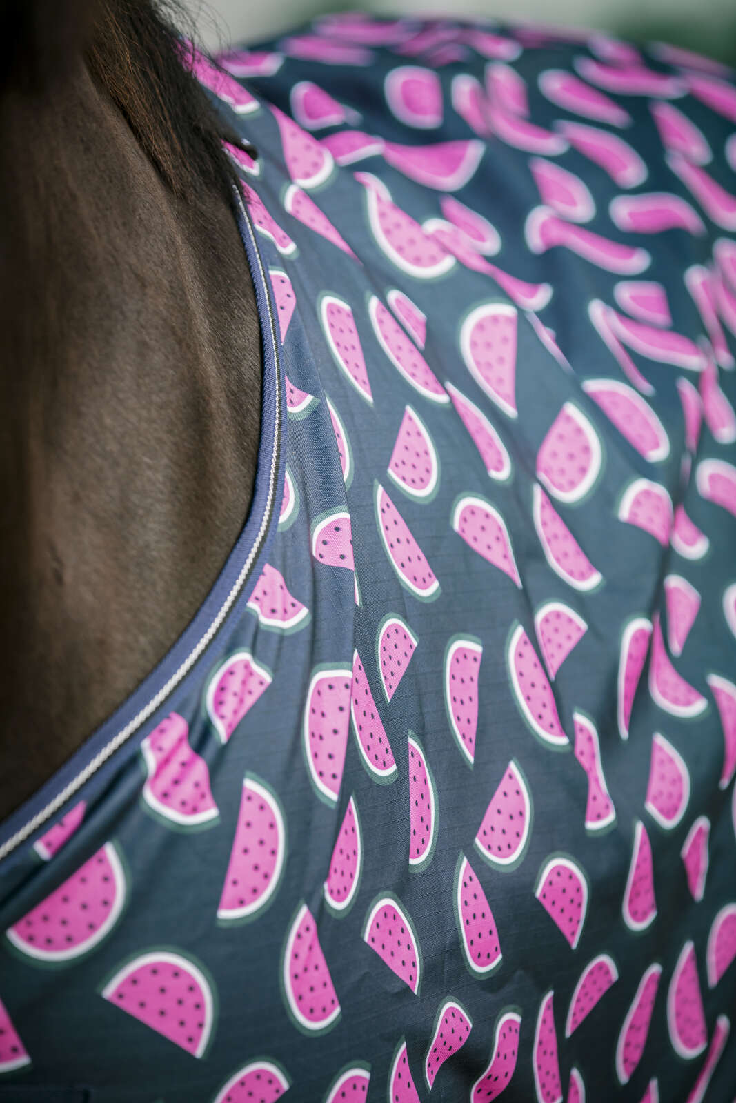 Horse Guard Melon Turnout Decke, Standard Hals, 0 g