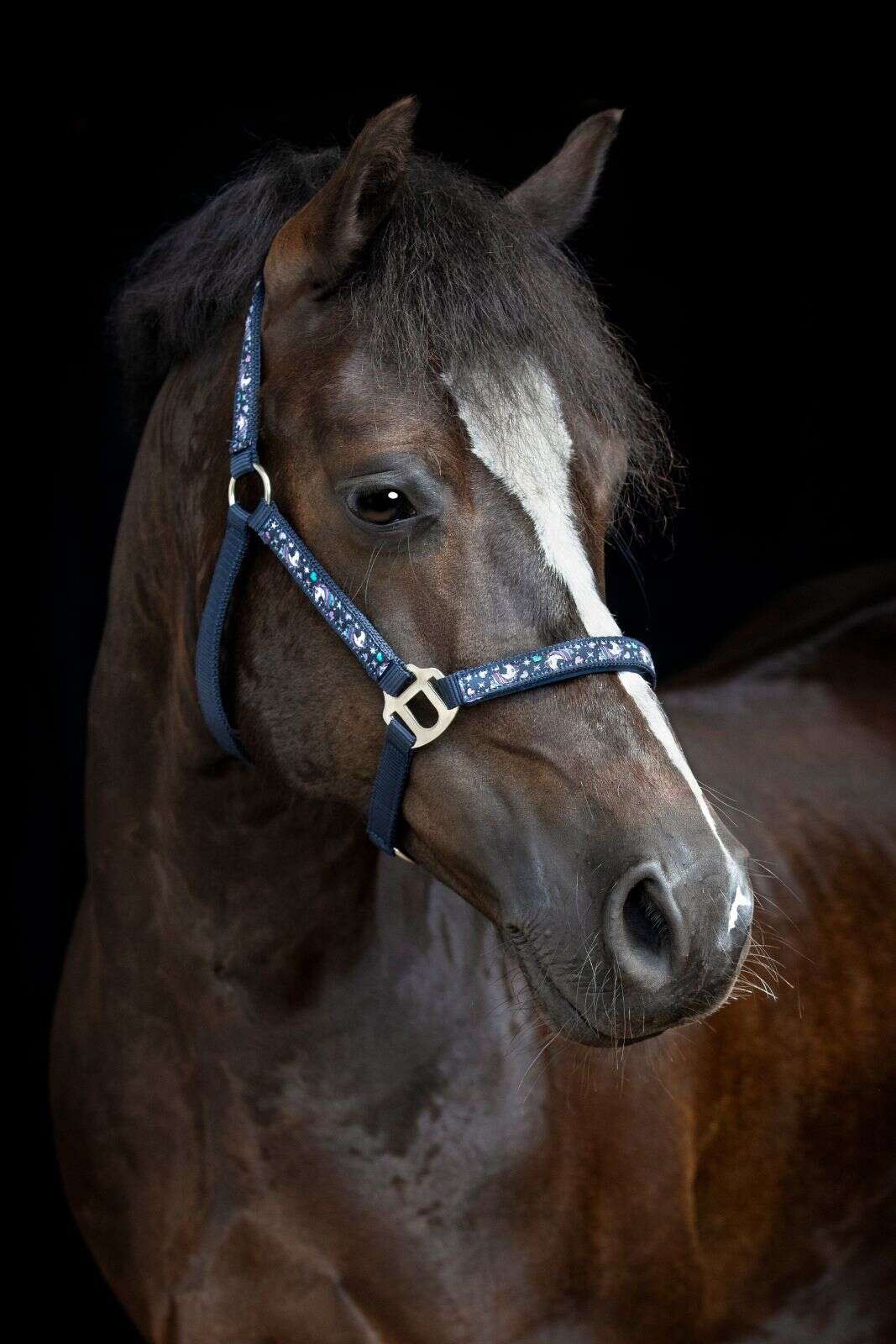 Horse Guard Fantasy halter