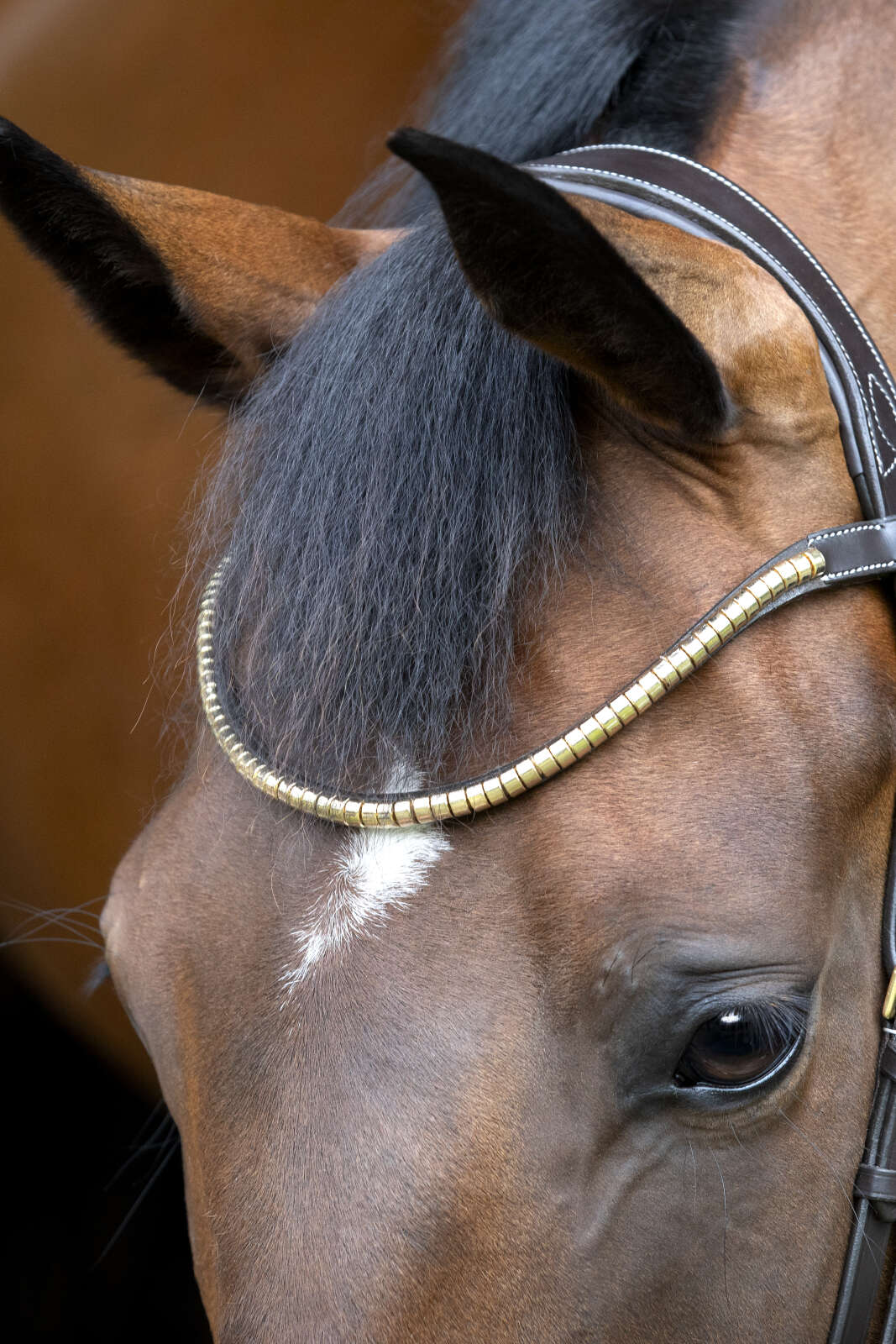 Horse Guard Emi 26.1 bridle with combined noseband