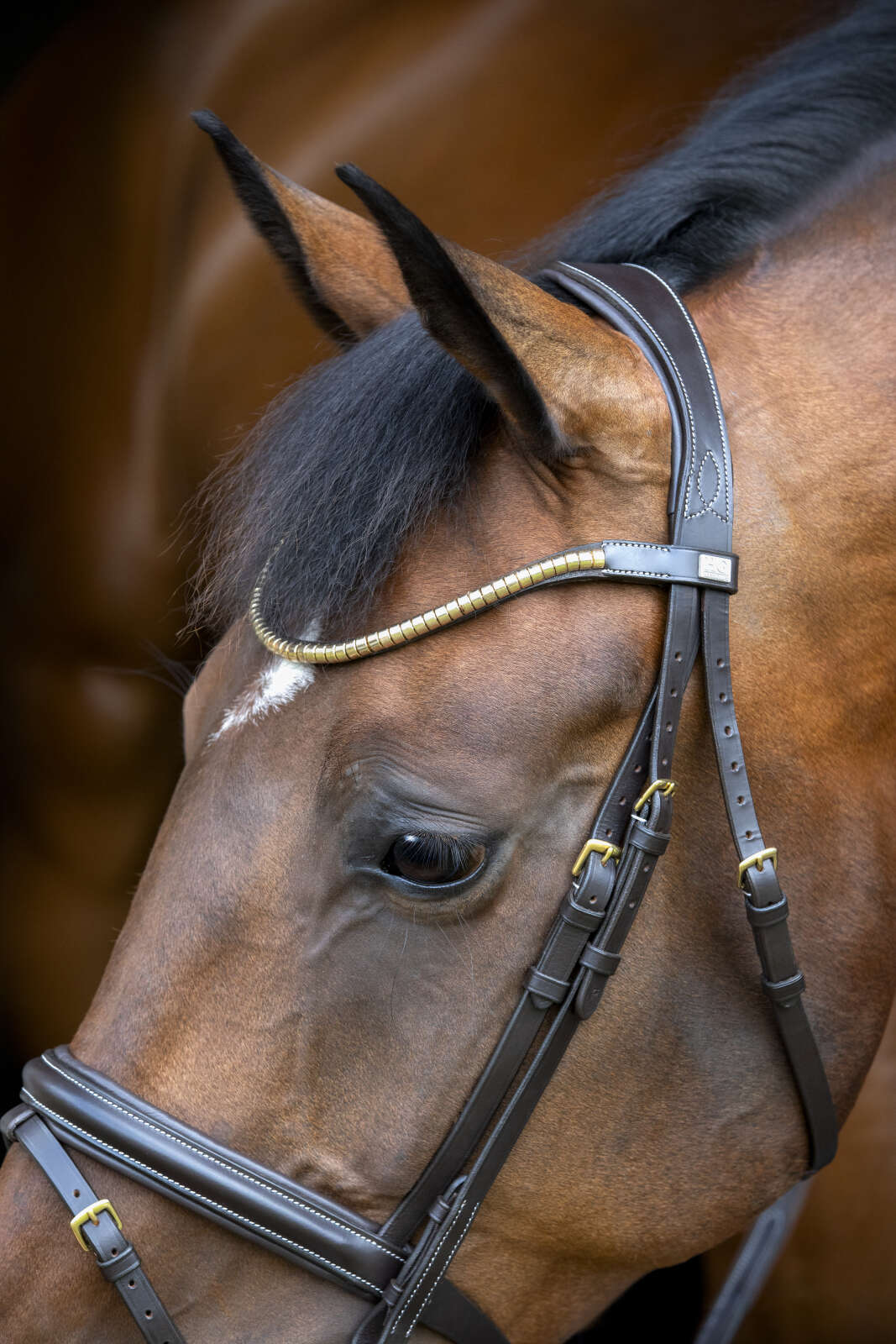 Horse Guard Emi 26.1 bridle with combined noseband