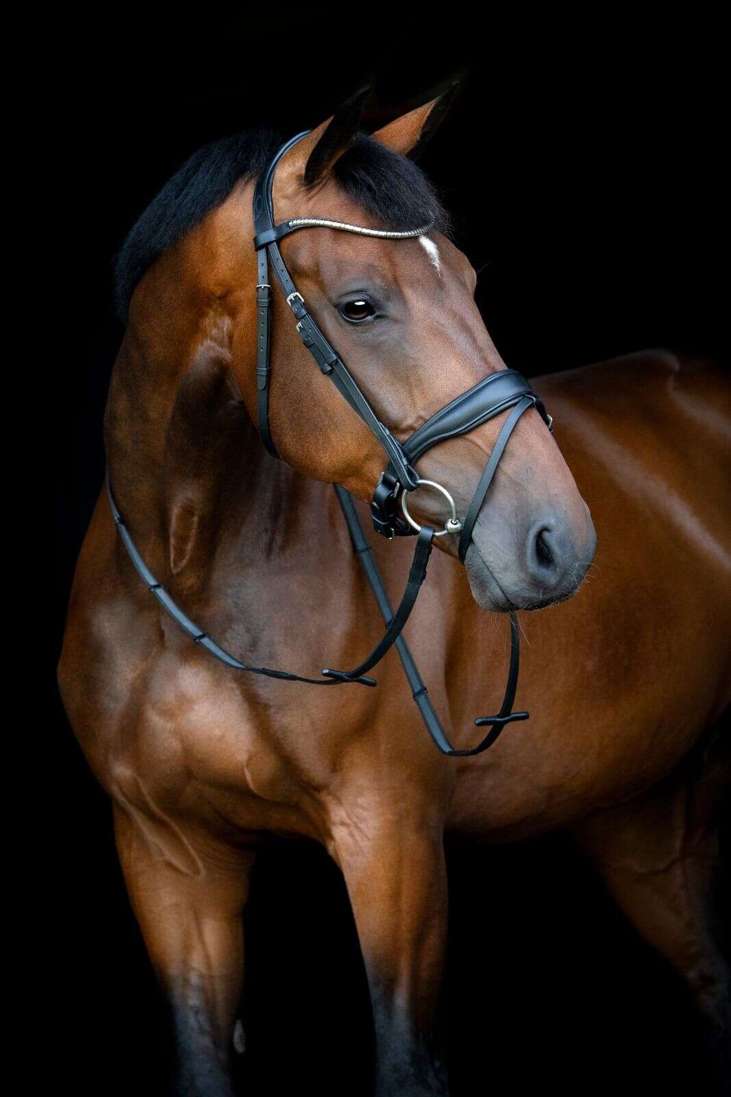 Horse Guard Cryll 26.1 Zaumzeug mit Pullback