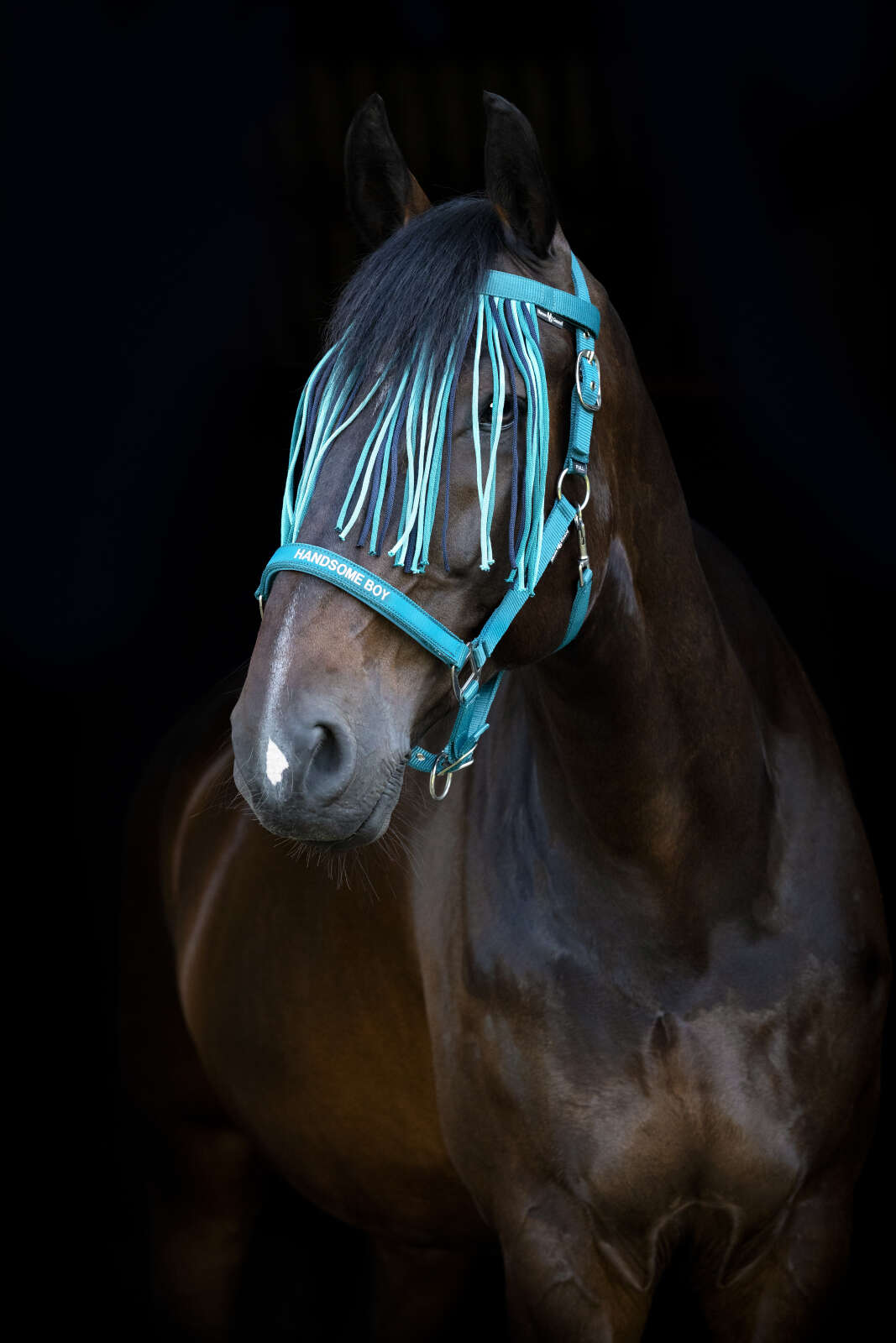 Horse Guard Malva fly fringe browband