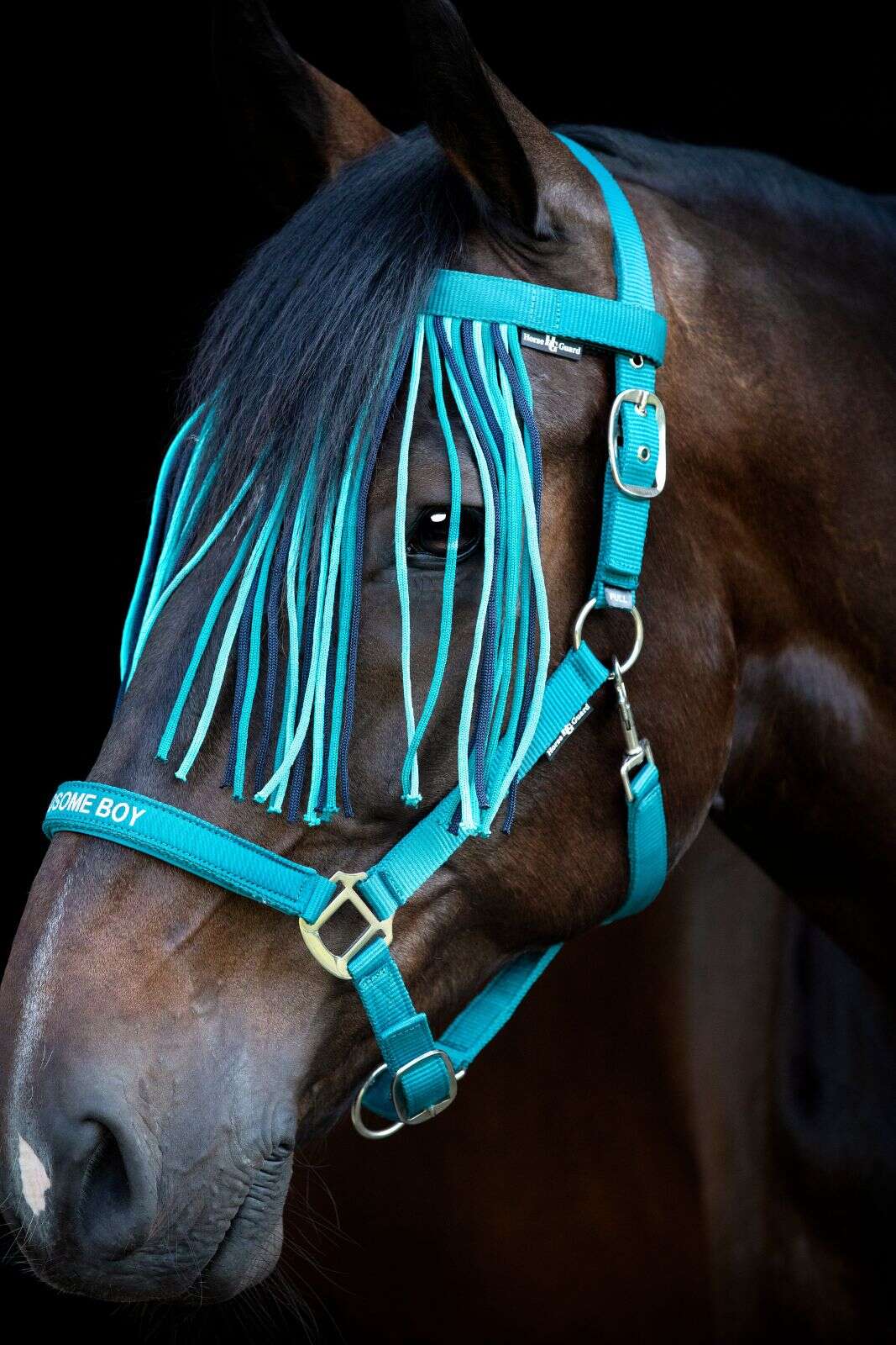 Horse Guard Malva fluepannebånd med frynser