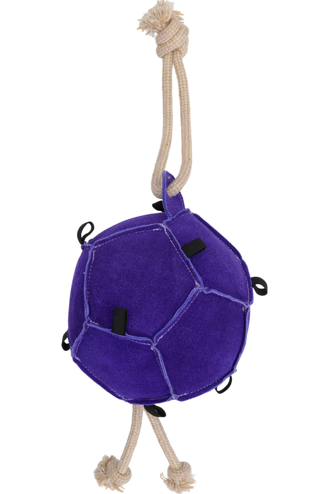 Horse Guard Ball horse toy