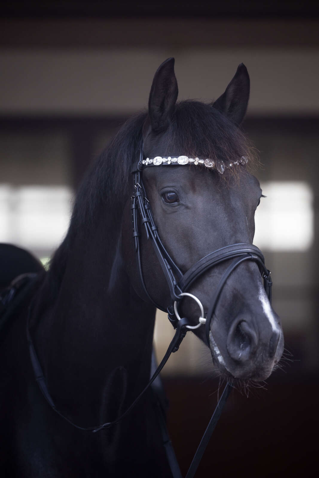Horse Guard Sunnywale crystal browband