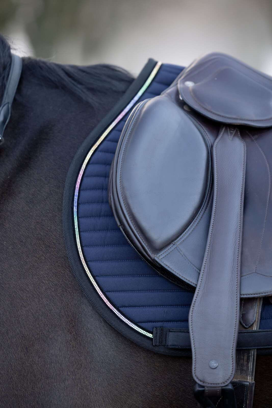 Horse Guard Bellingham allroundschabrak