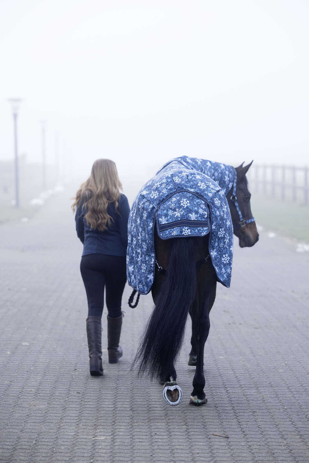 Horse Guard Snowflake 1200D-dekken, 200 g, avtakbar hals