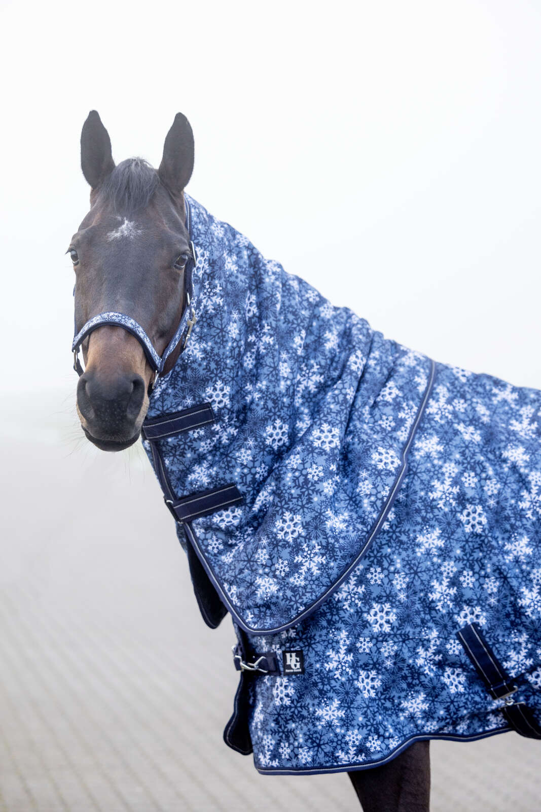 Horse Guard Snowflake 1200D-dekken, 200 g, avtakbar hals