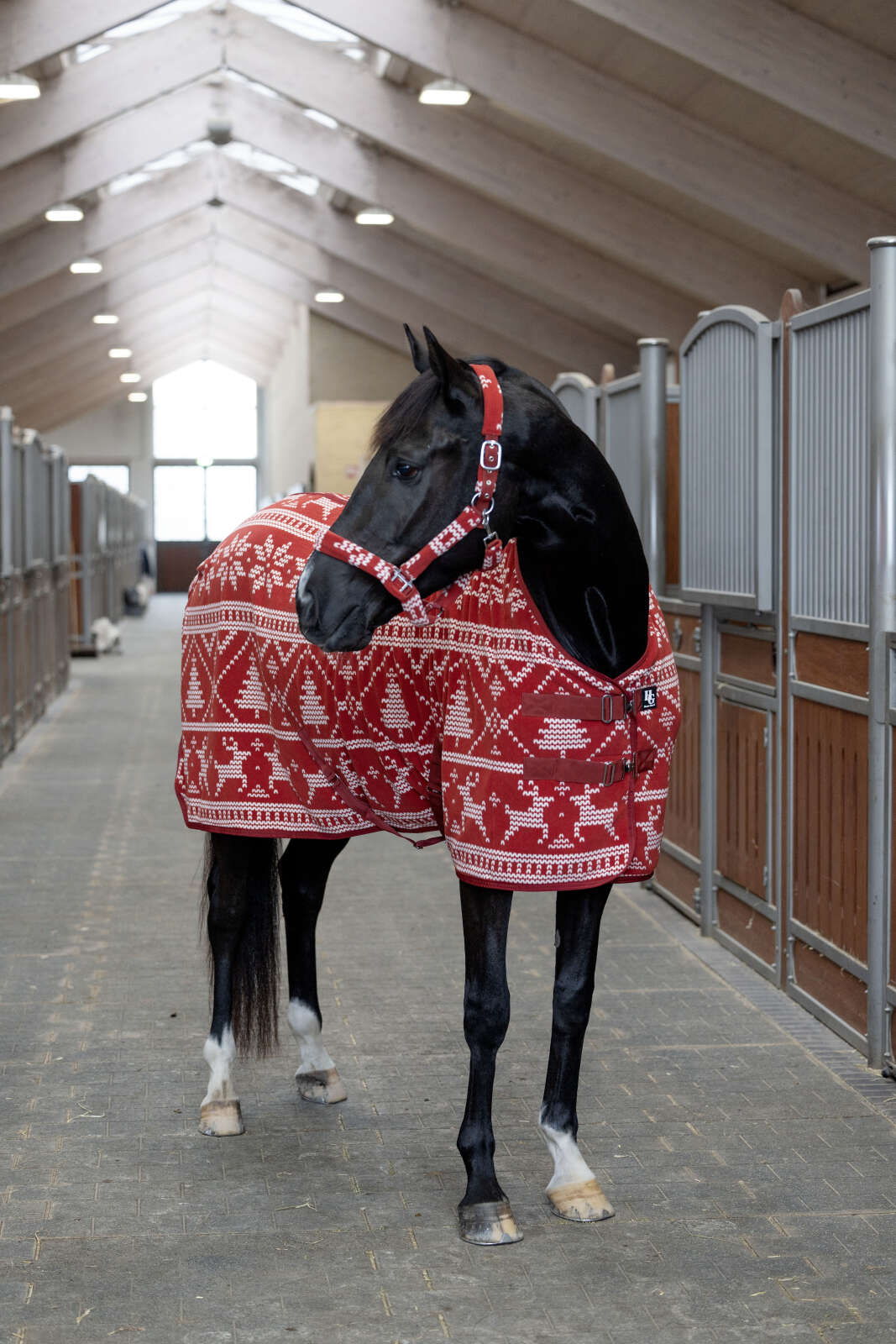 Horse Guard Christmas fleecetäcke