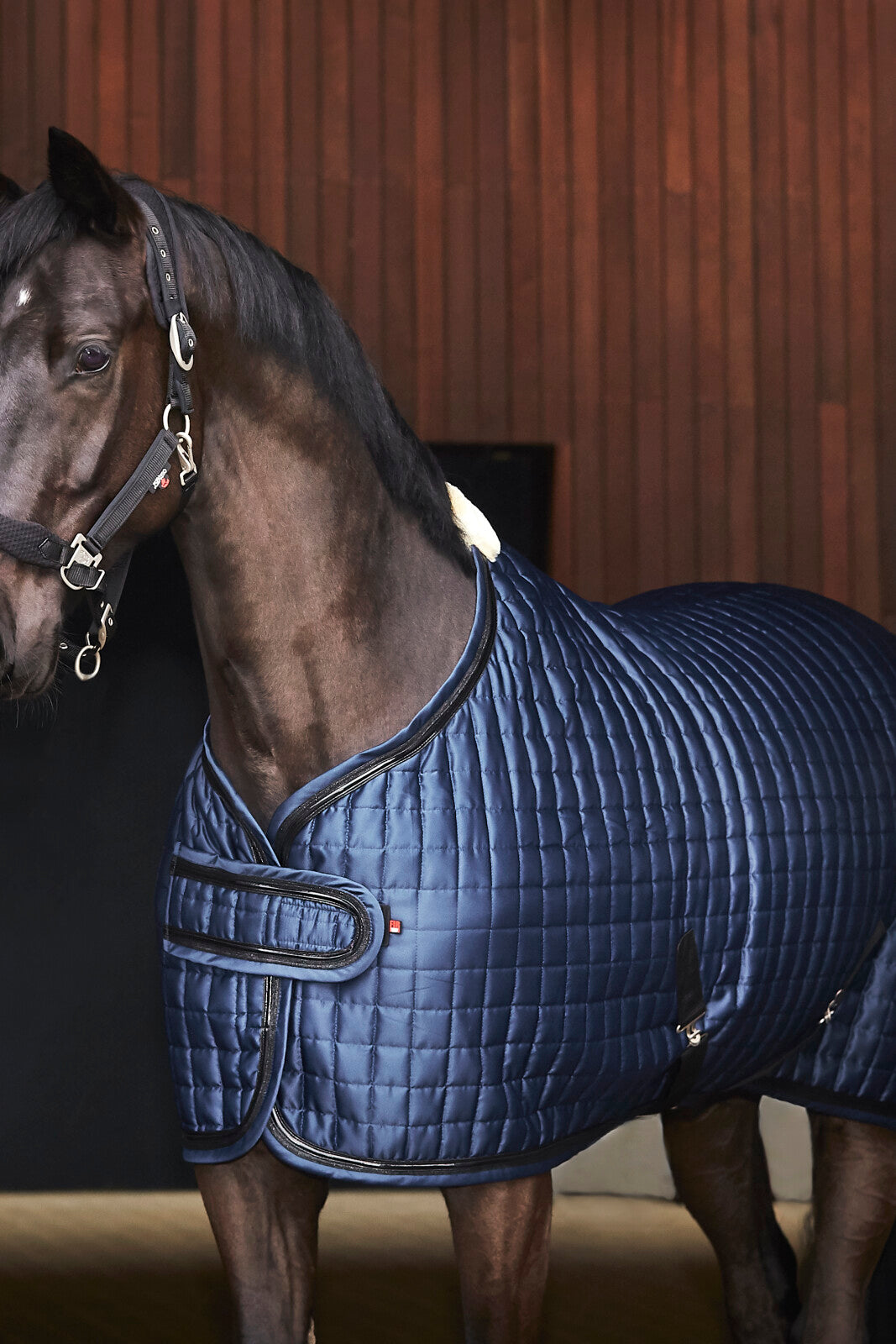 CATAGO FIR-Tech elegant showrug