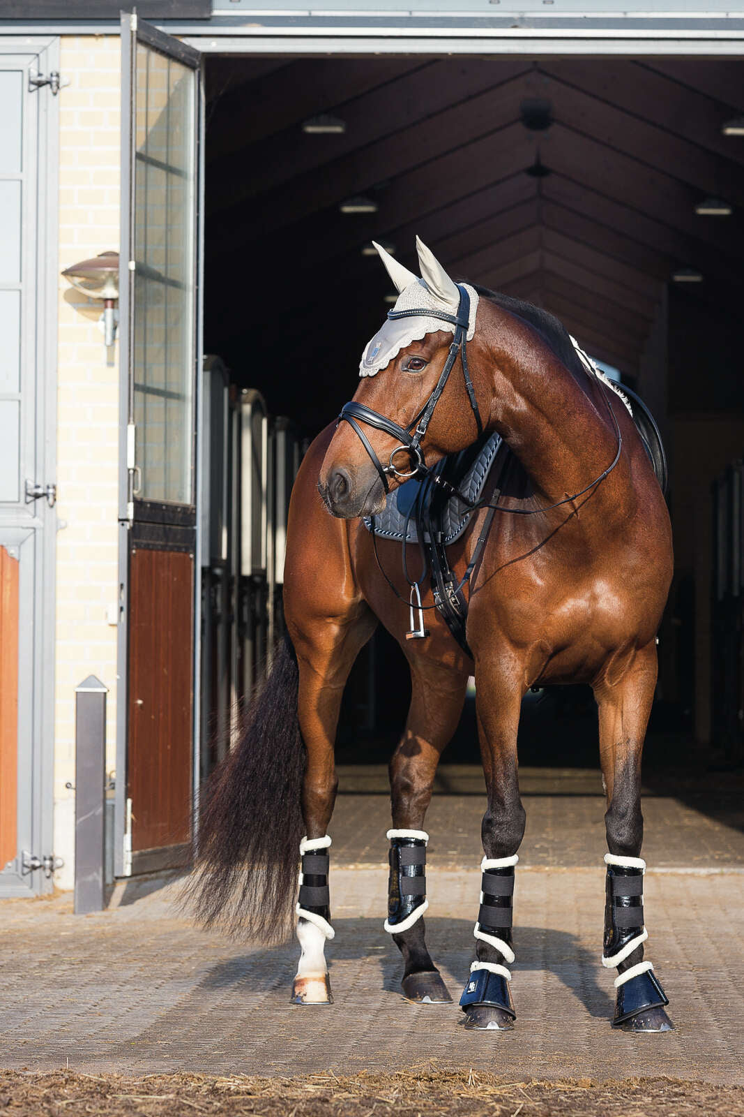 HorseGuard Stirrup "fillis" SS junior