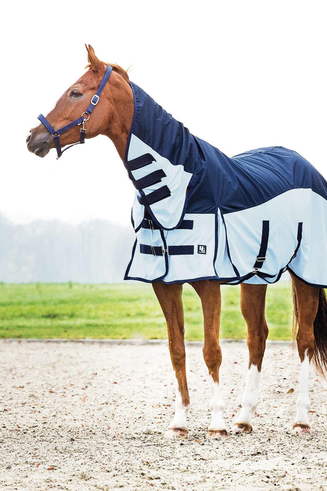 HorseGuard Aiman regn- og insektdekket