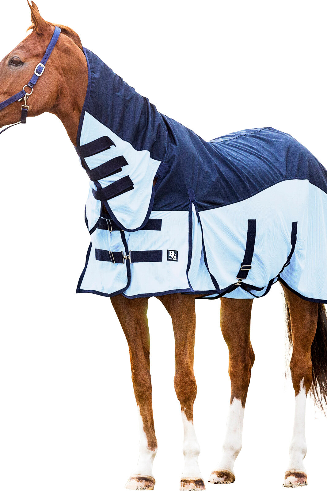HorseGuard Aiman regn og insektdekken