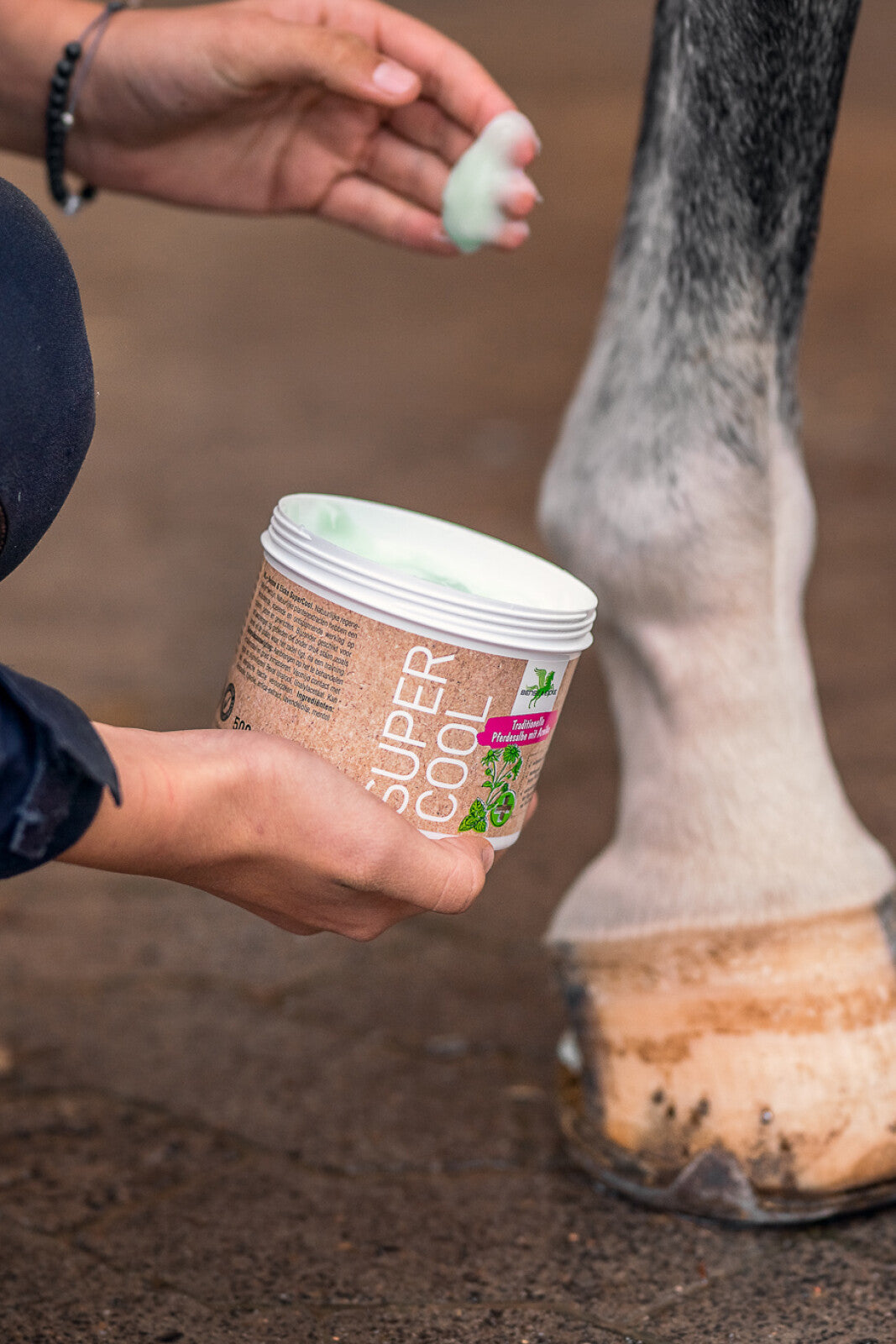 Bense & Eicke Super Cool