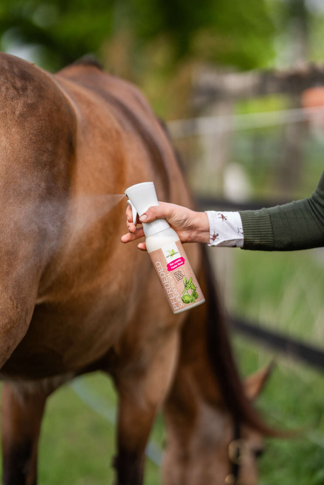 Bense & Eicke Hest Deo Superfresh