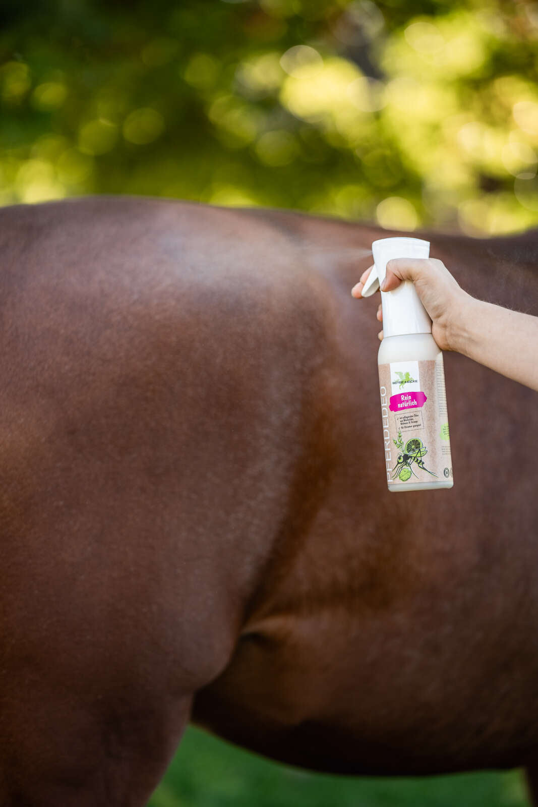Bense & Eicke Horse deo - 500 ml