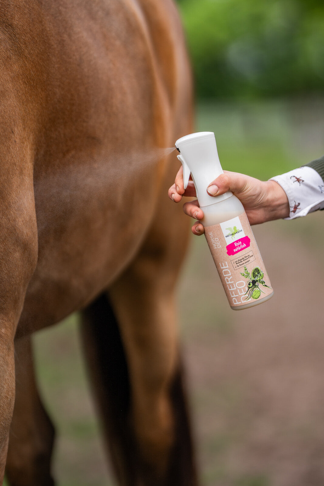 Bense & Eicke Horse deo