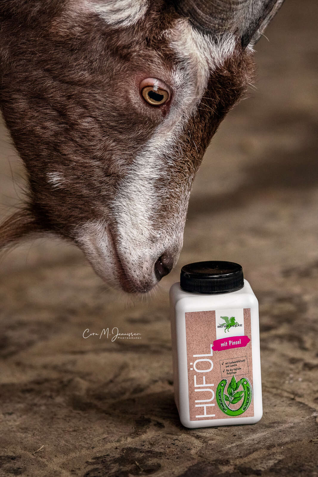 Bense & Eicke hovolja