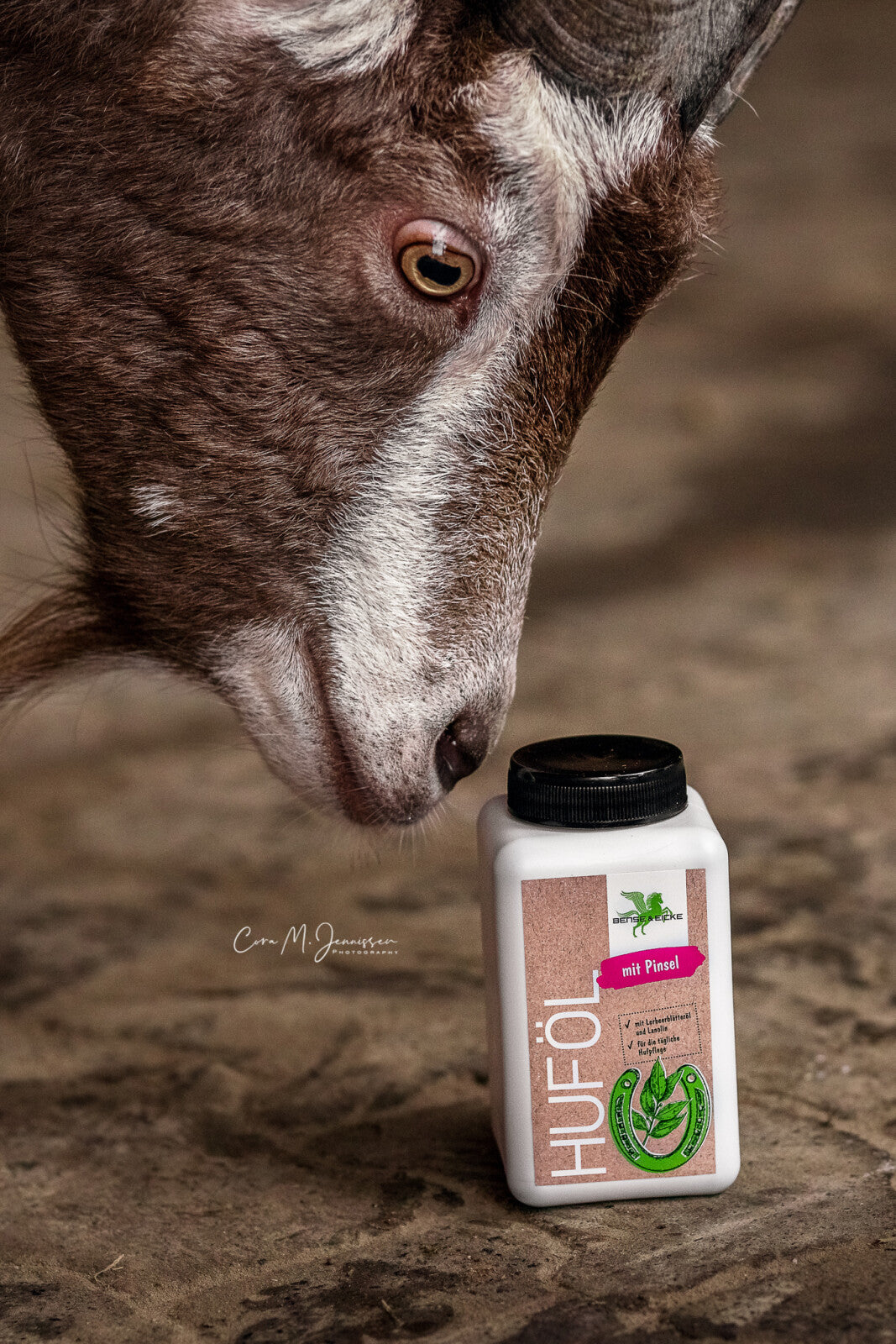 Bense & Eicke Hoof oil