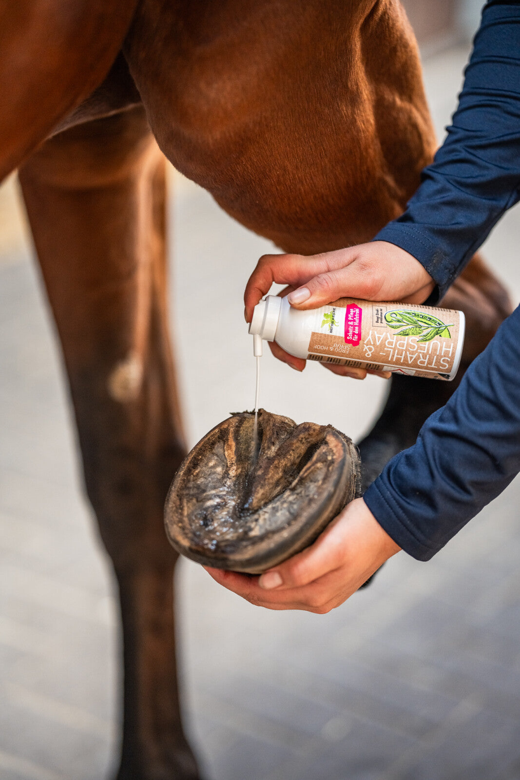 Bense & Eicke Ray and hoof care spray