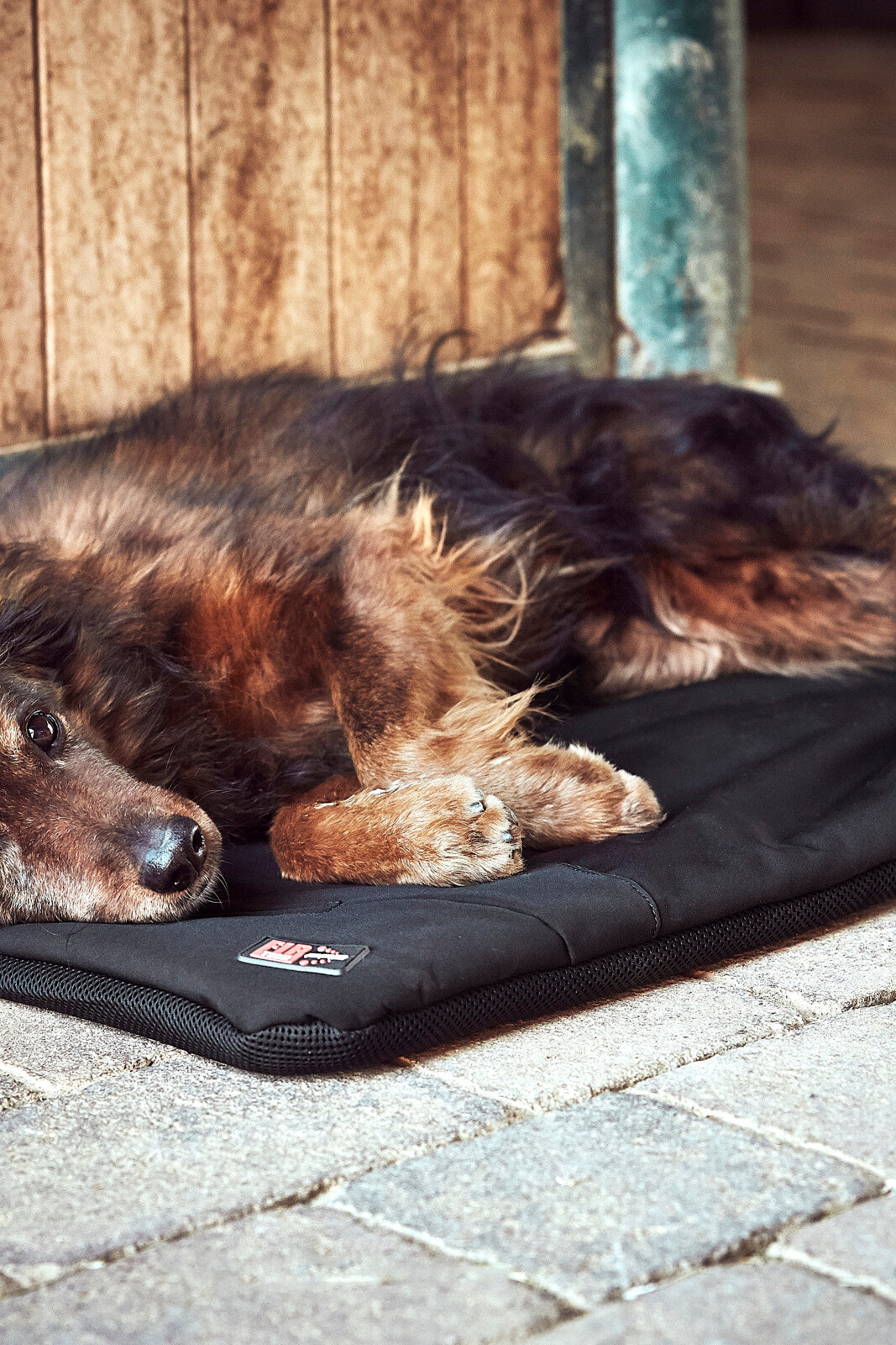 CATAGO FIR-Tech Pro heated dog pillow