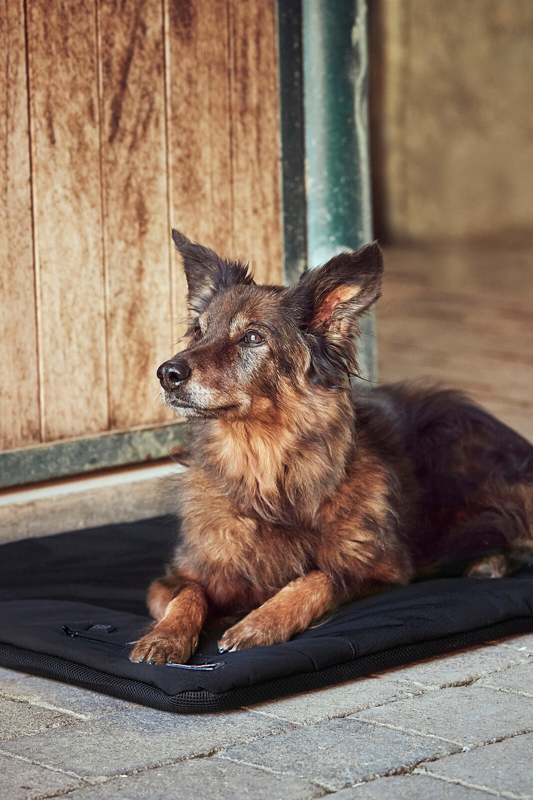 CATAGO FIR - Tech Pro heated dog pillow - Unamari